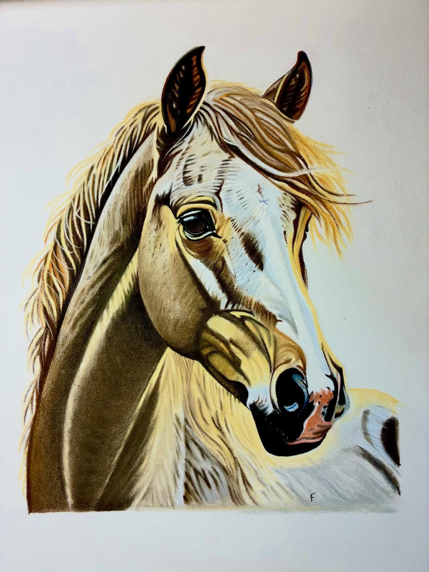 Palomino Light, drawing by Fulton Allem