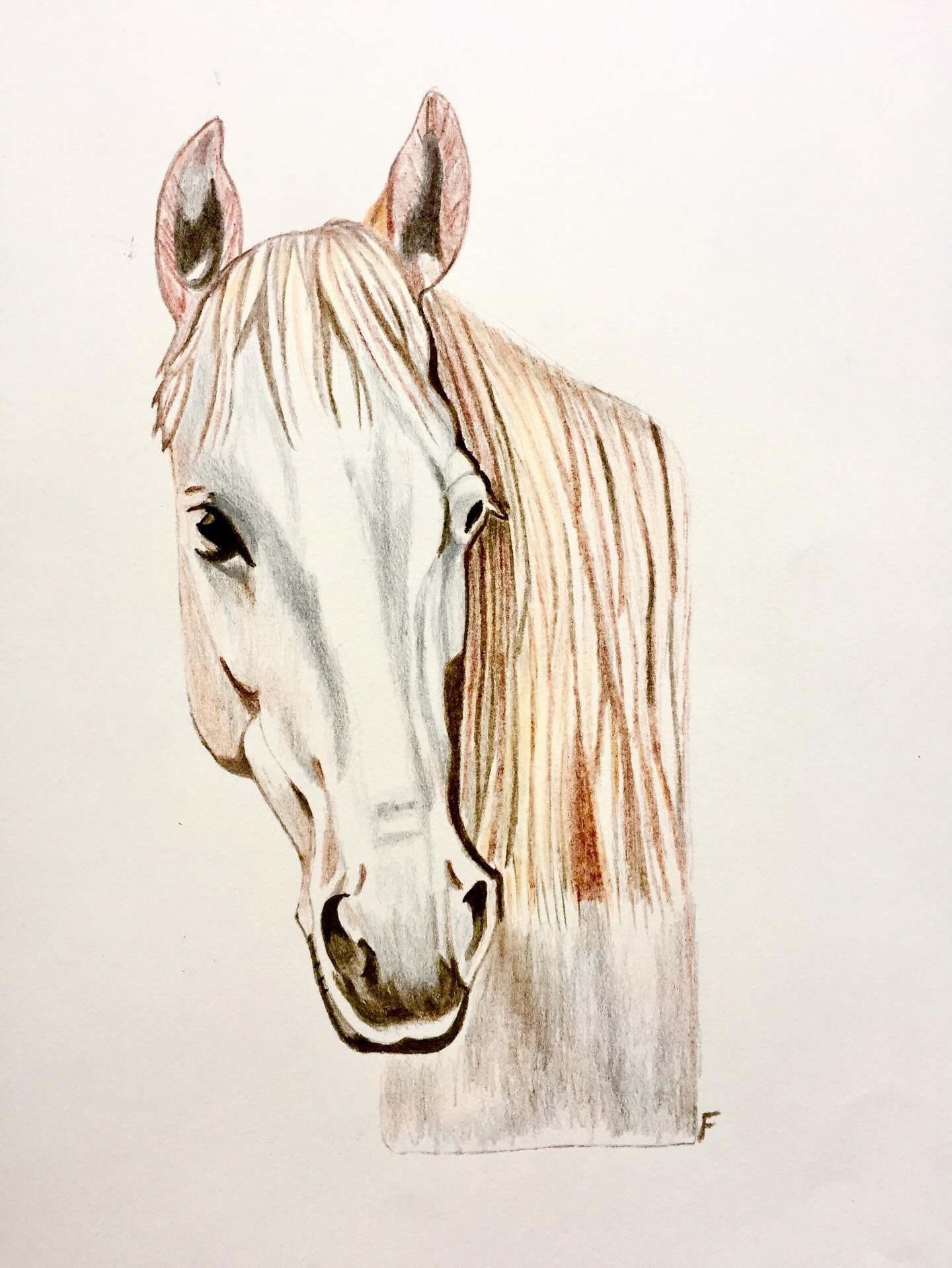 Cream and Copper, drawing by Fulton Allem