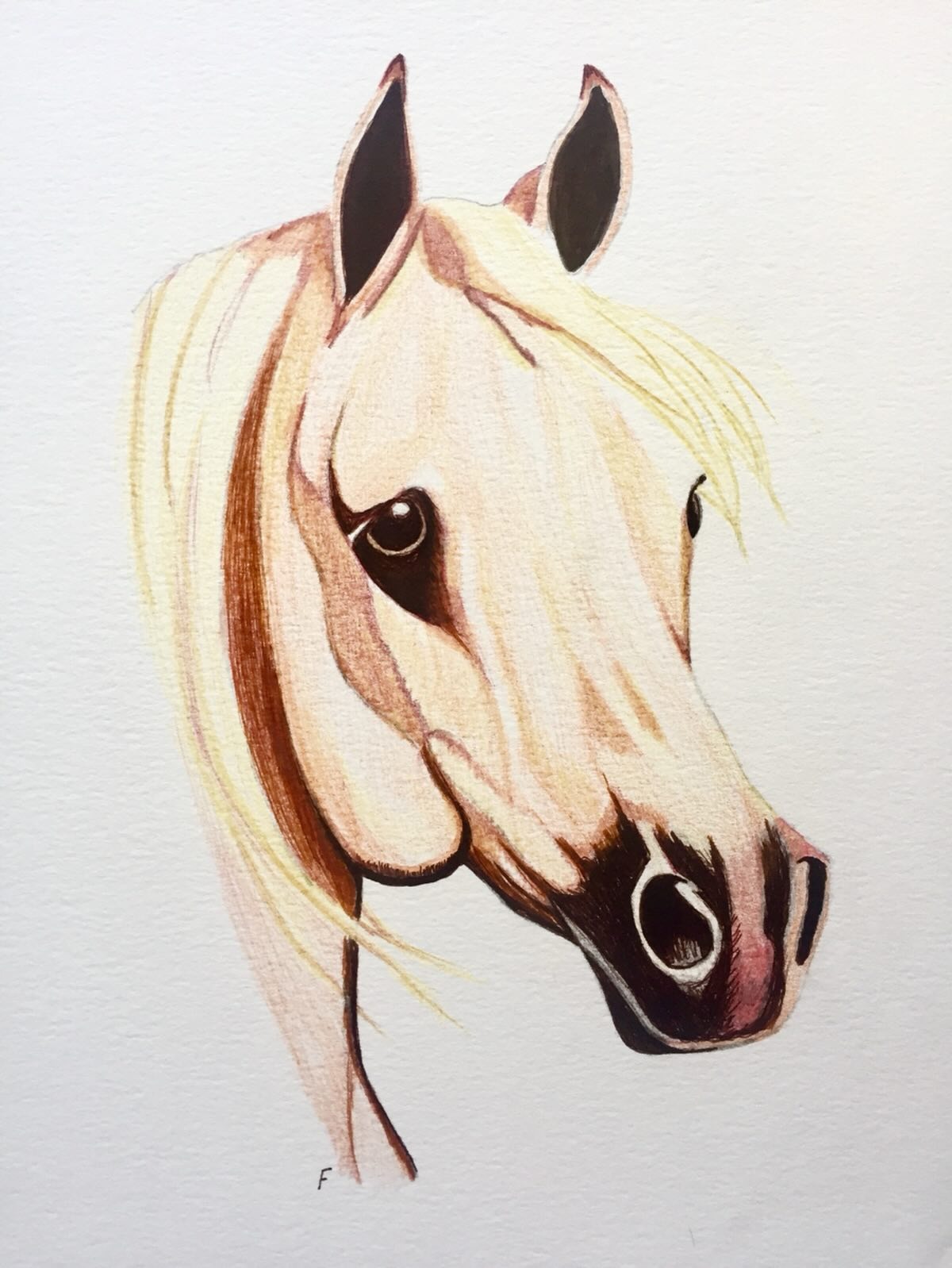 Cream Halter, drawing by Fulton Allem