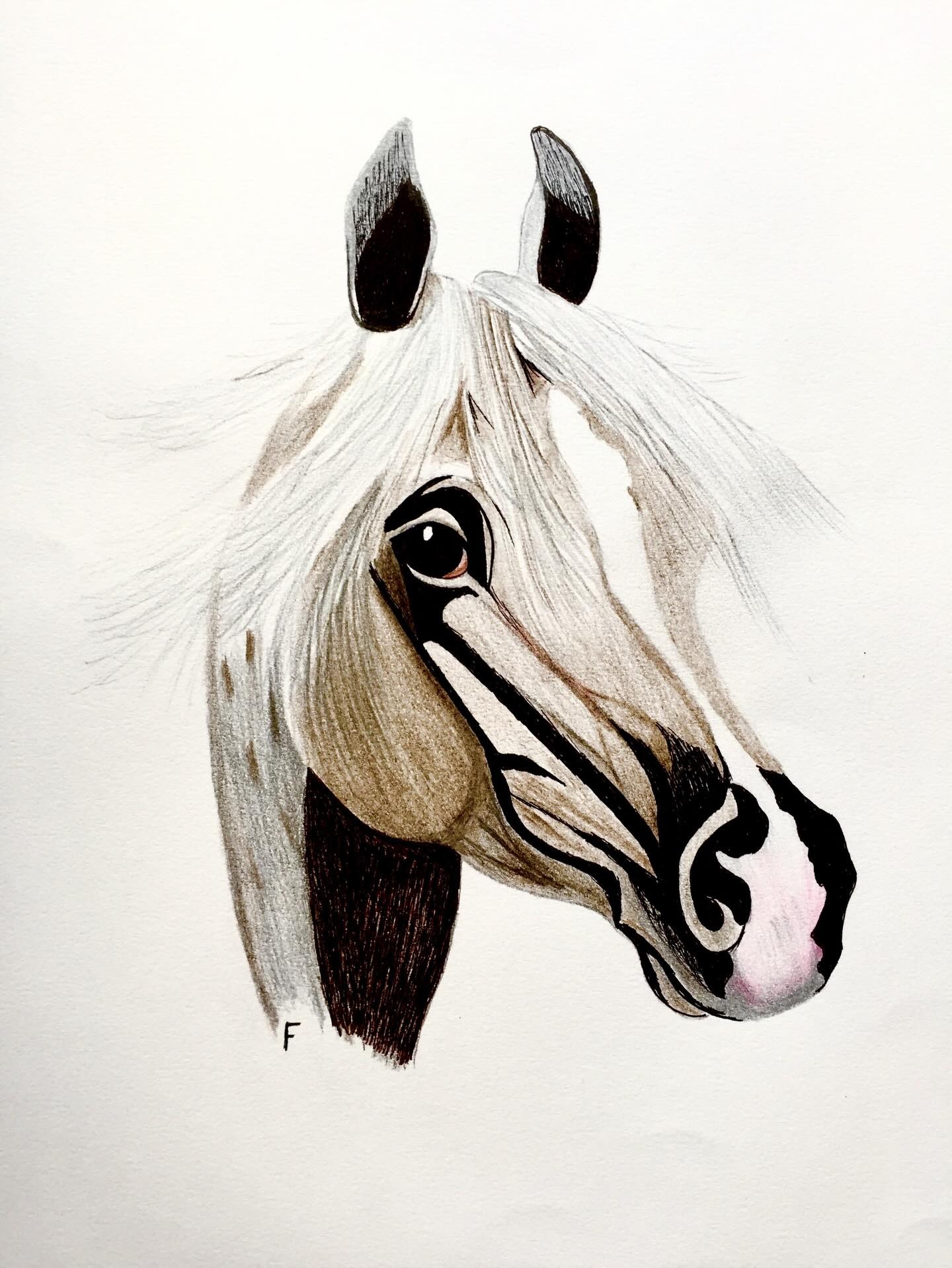 Black Ears, drawing by Fulton Allem