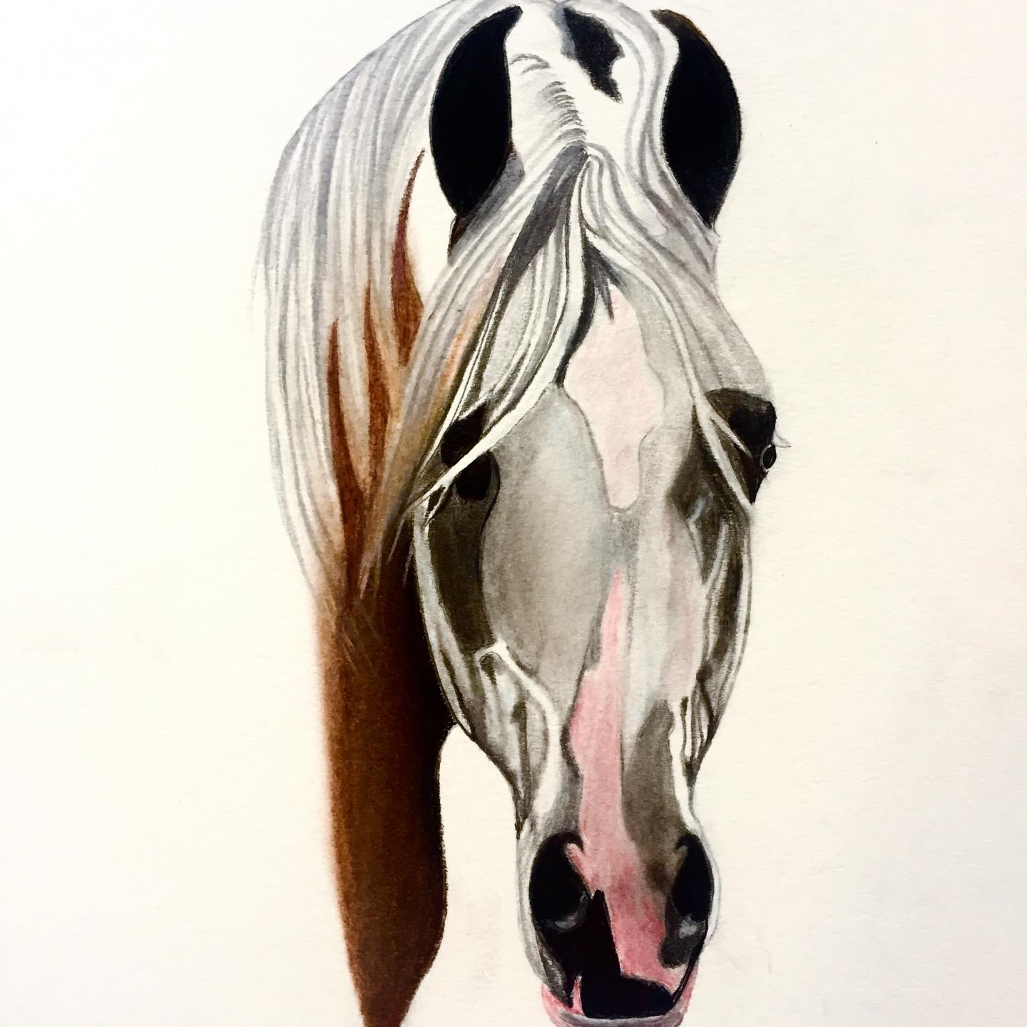 Lyre Ears, drawing by Fulton Allem