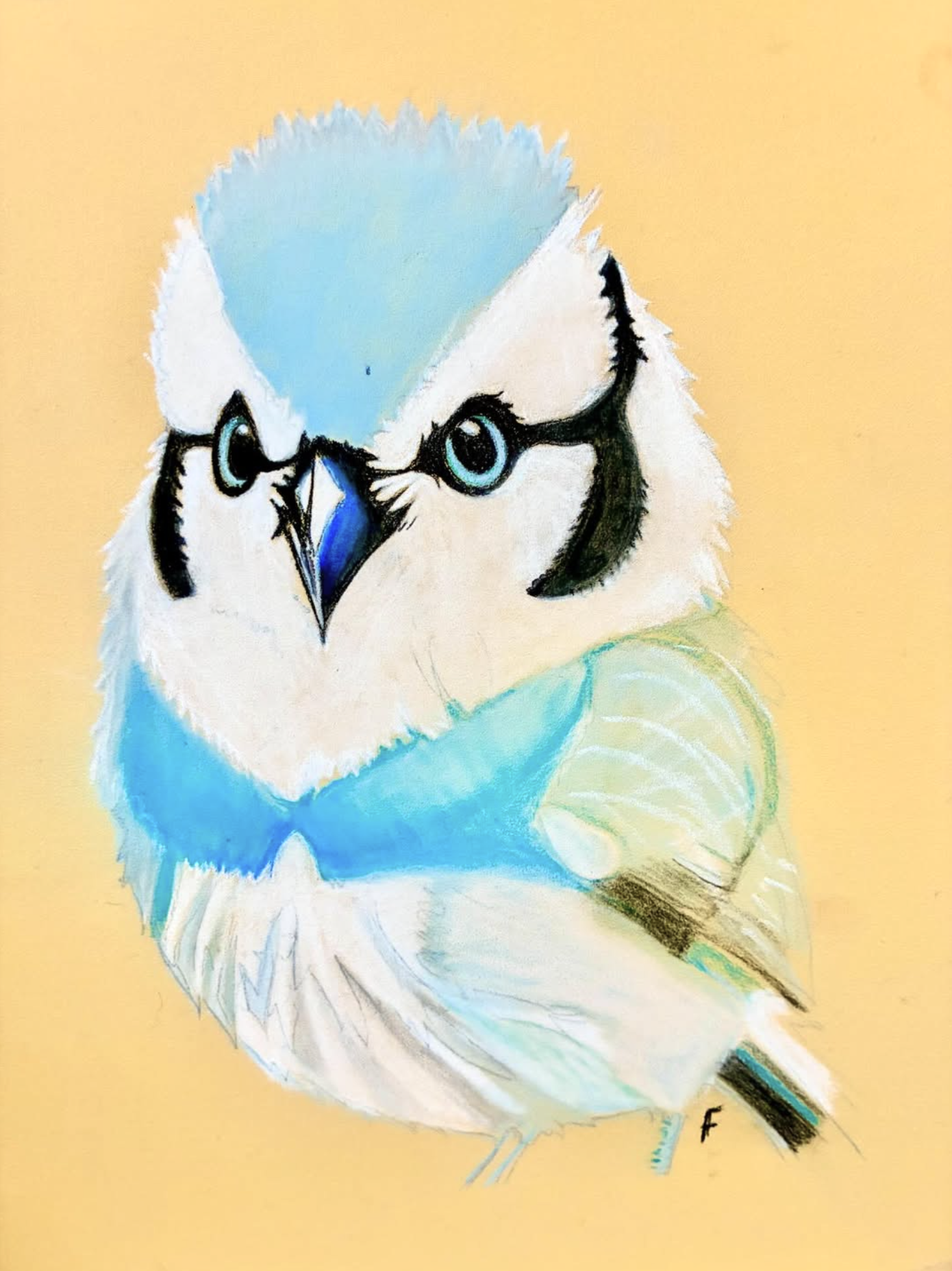 Fledgling, drawing by Fulton Allem