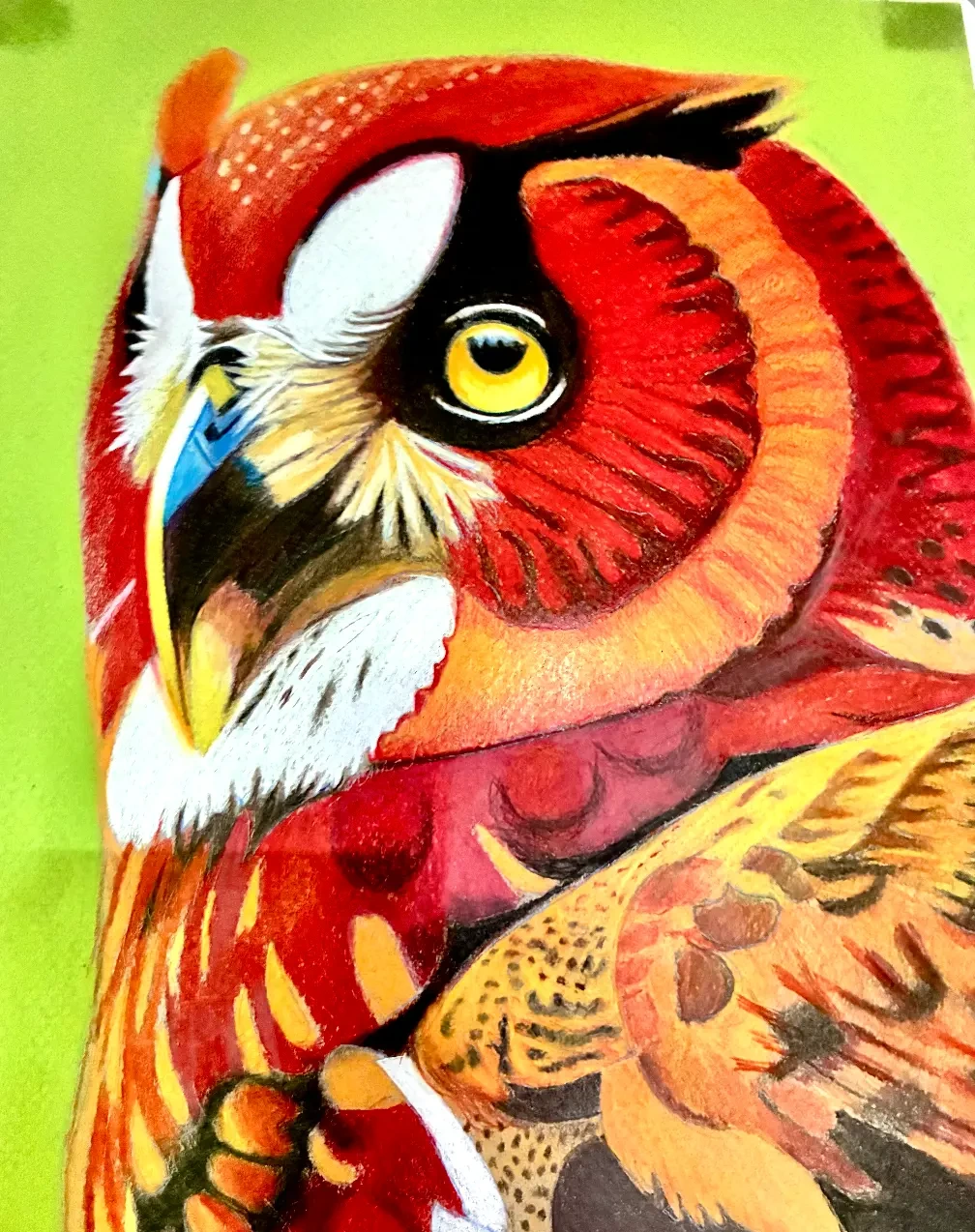 Scarlet Owl, drawing by Fulton Allem