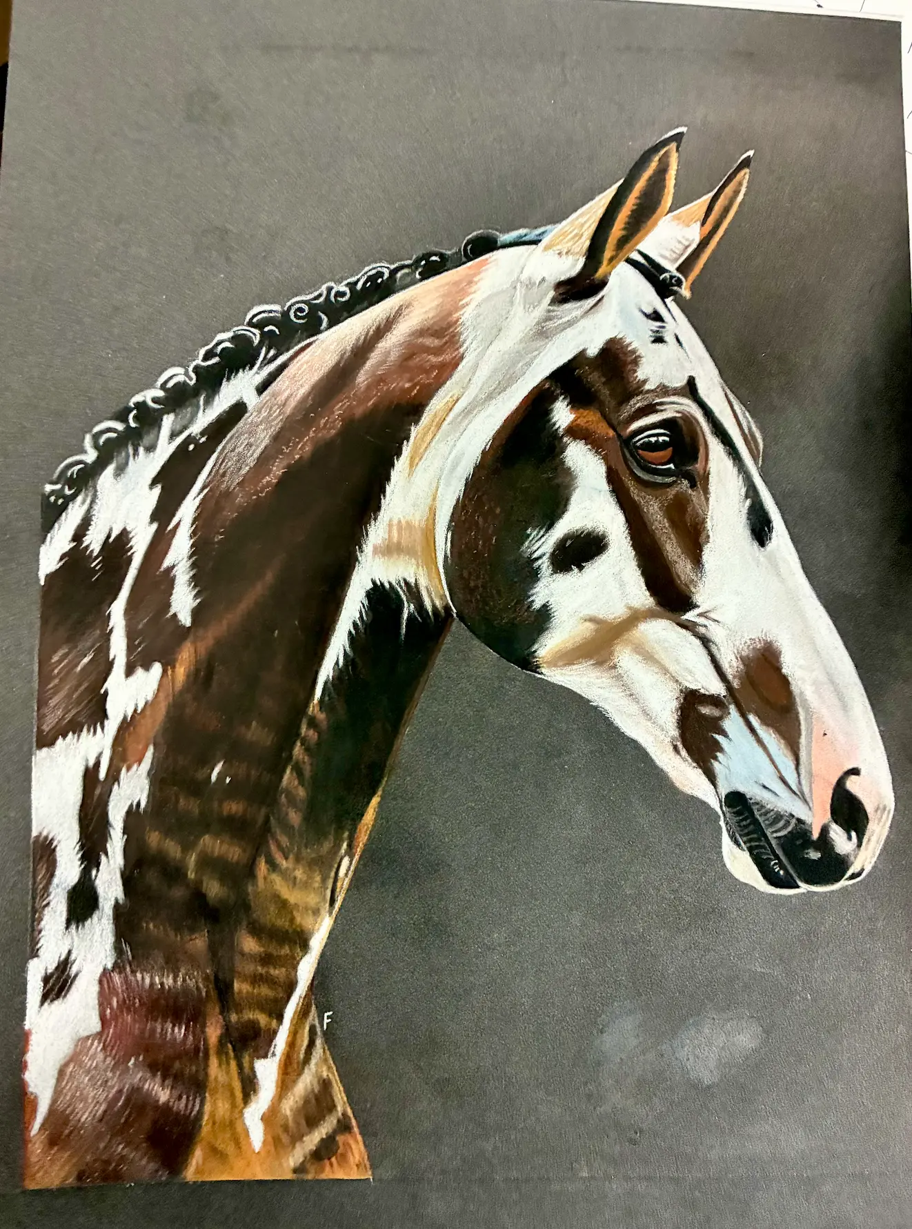 Button Plaits, drawing by Fulton Allem