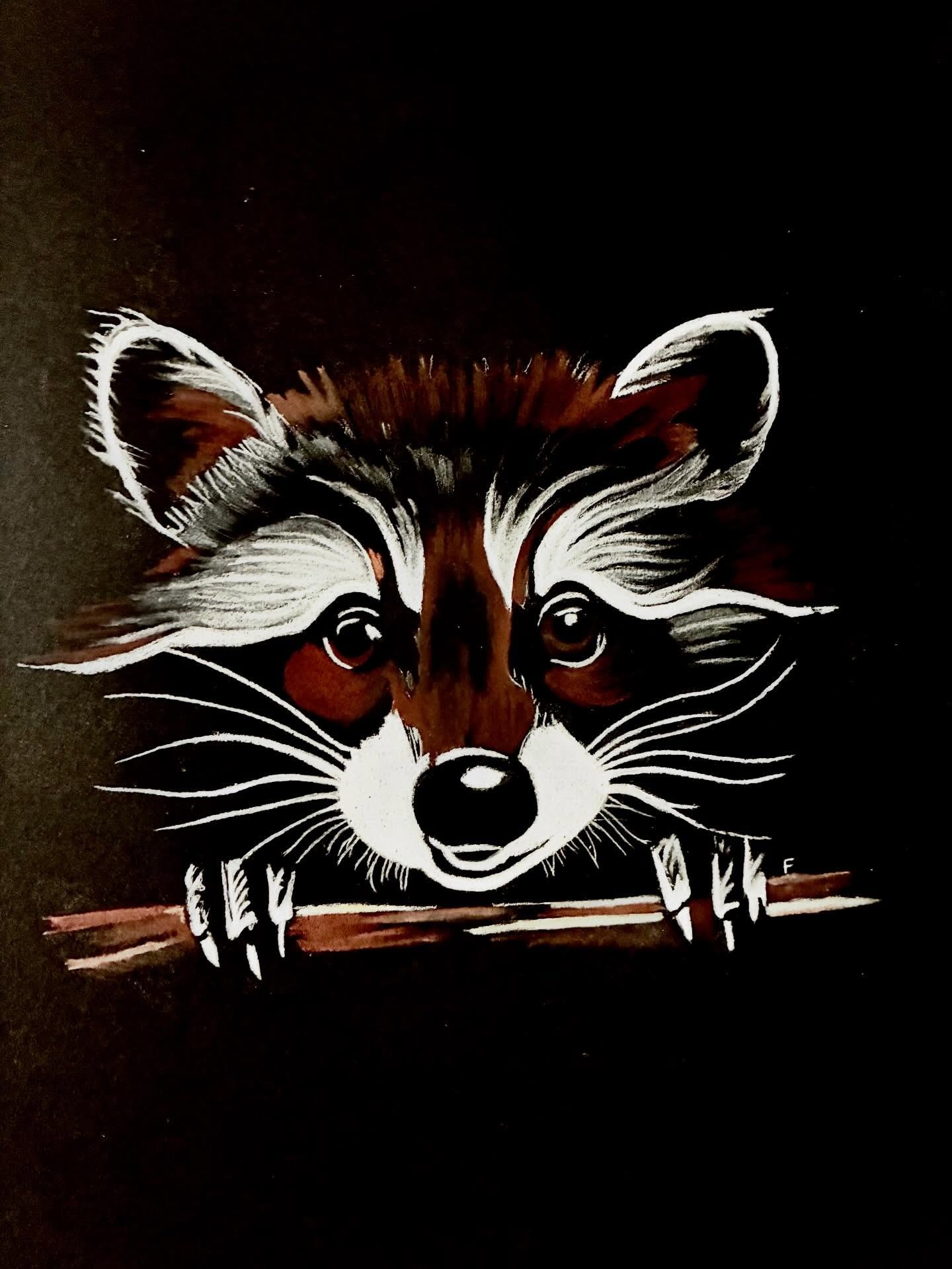 Raccoon, drawing by Fulton Allem