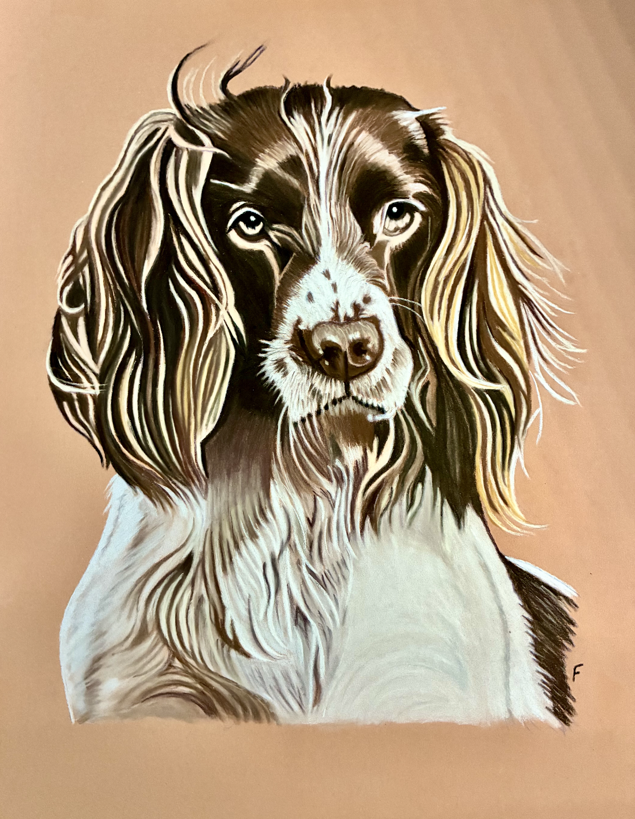 A commissioned dog portrait drawn by Fulton Allem