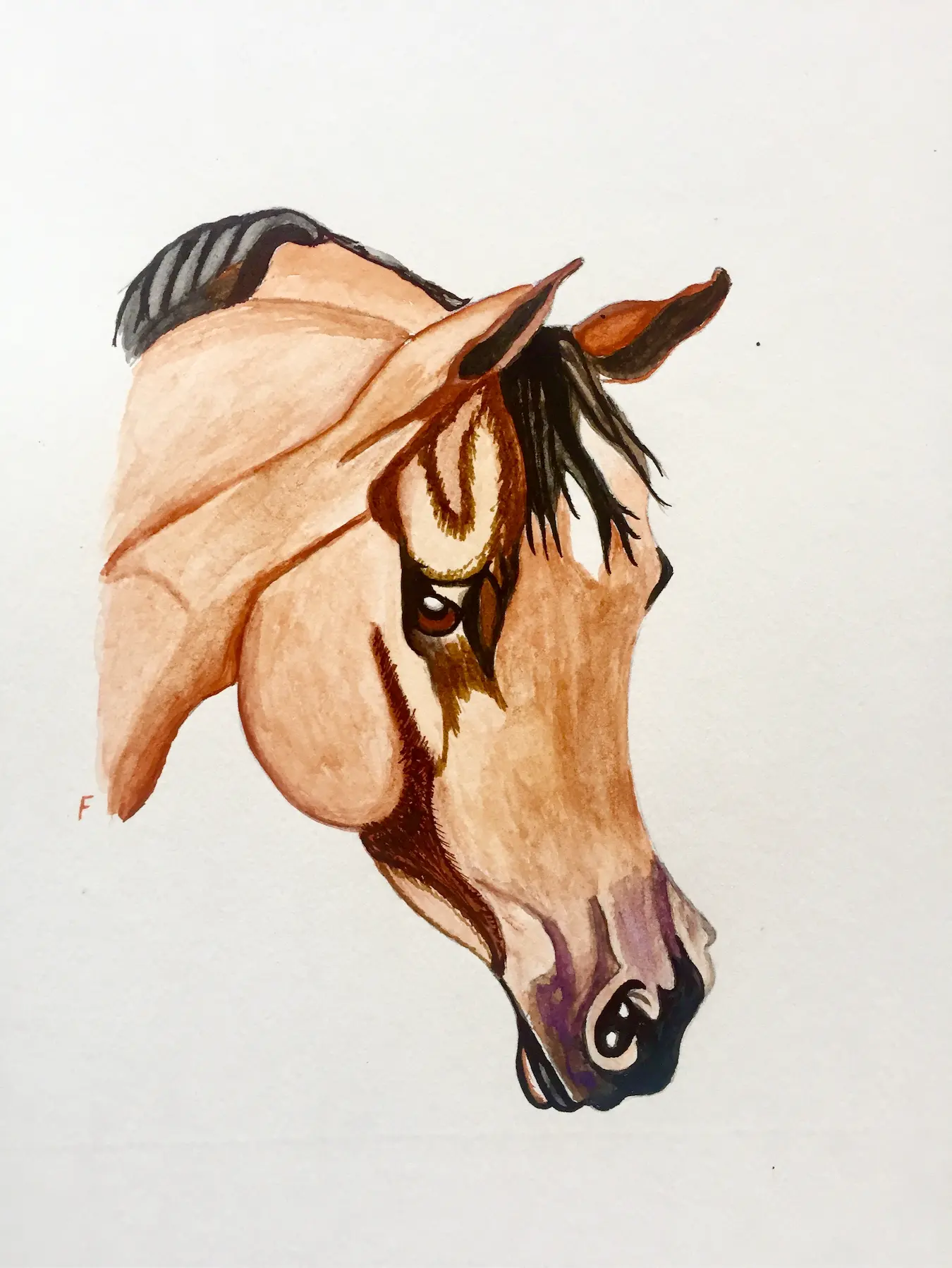 Buckskin Wash, drawing by Fulton Allem
