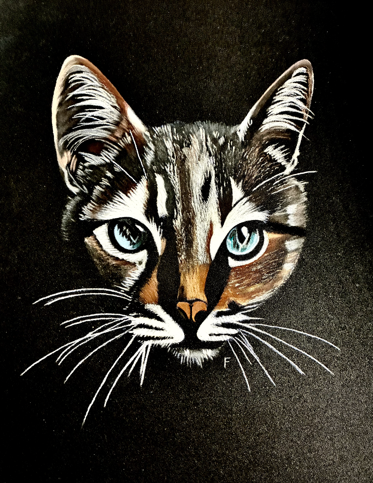 Blue-Eyed Tabby, drawing by Fulton Allem