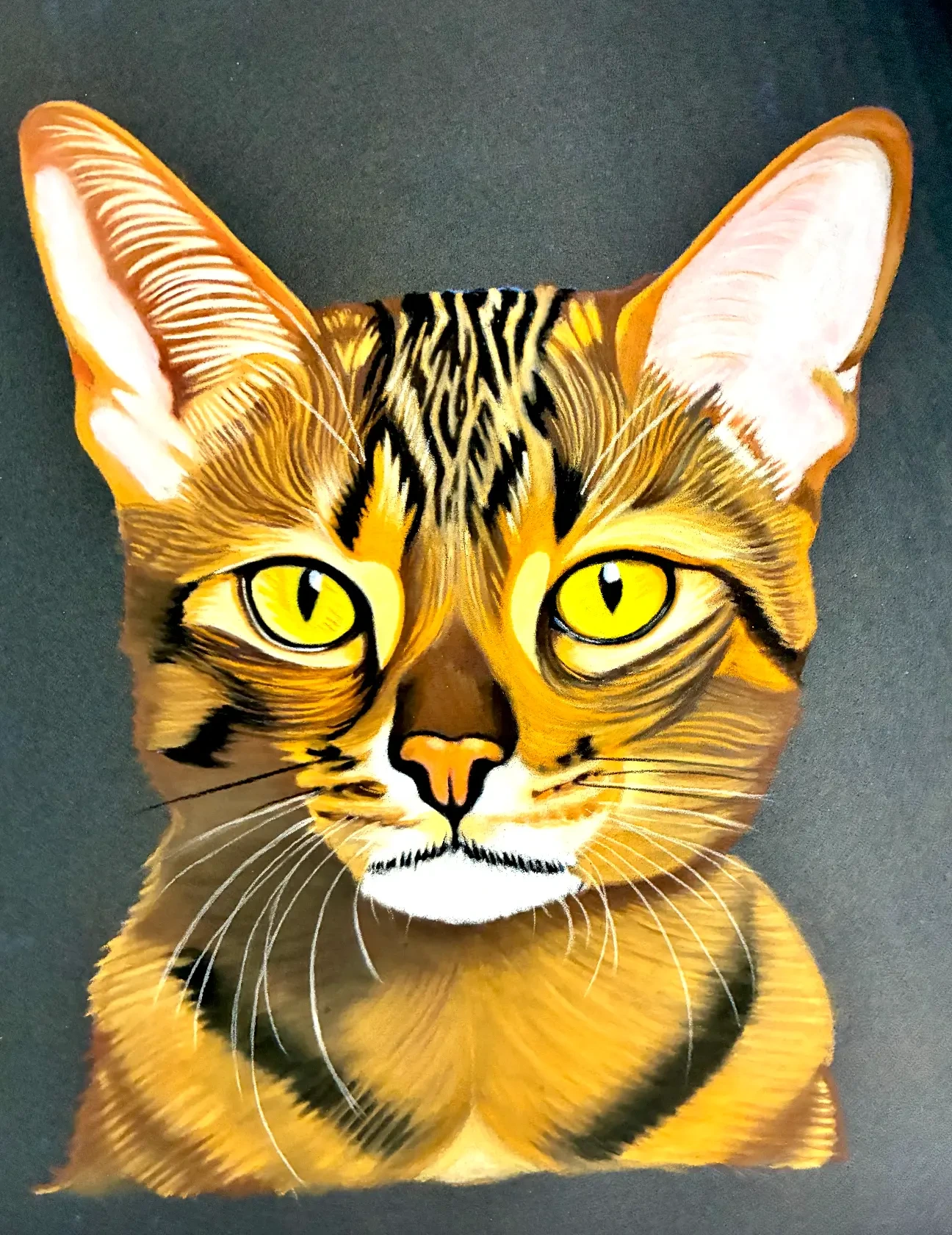 Amber Eyes, drawing by Fulton Allem
