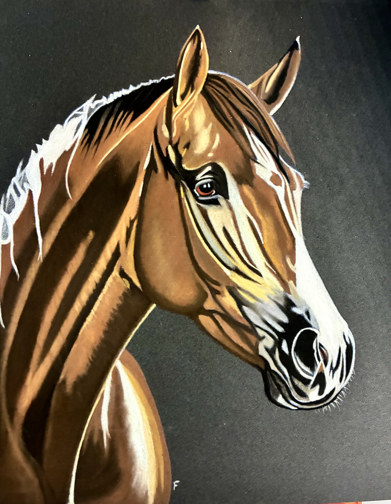 Blaze on Black, drawing by Fulton Allem