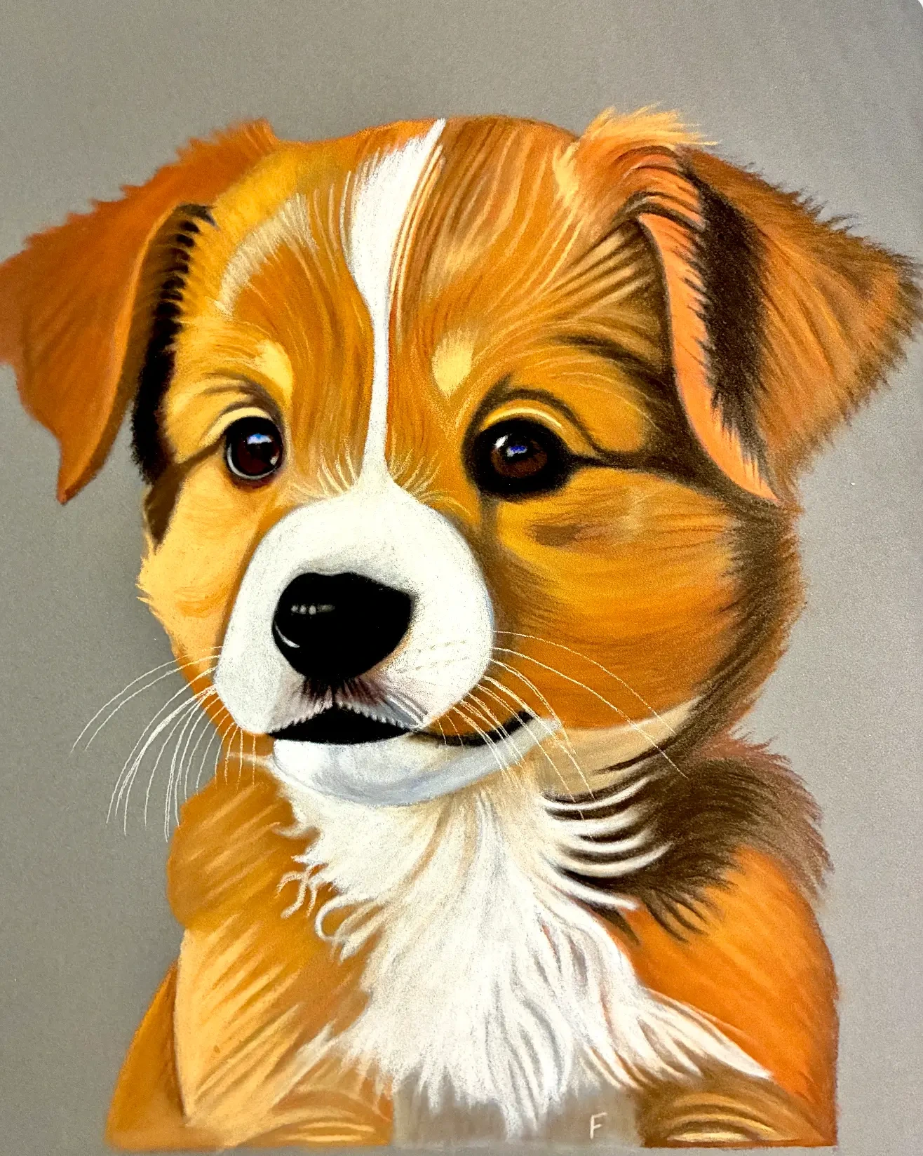 Puppy Whiskers, drawing by Fulton Allem