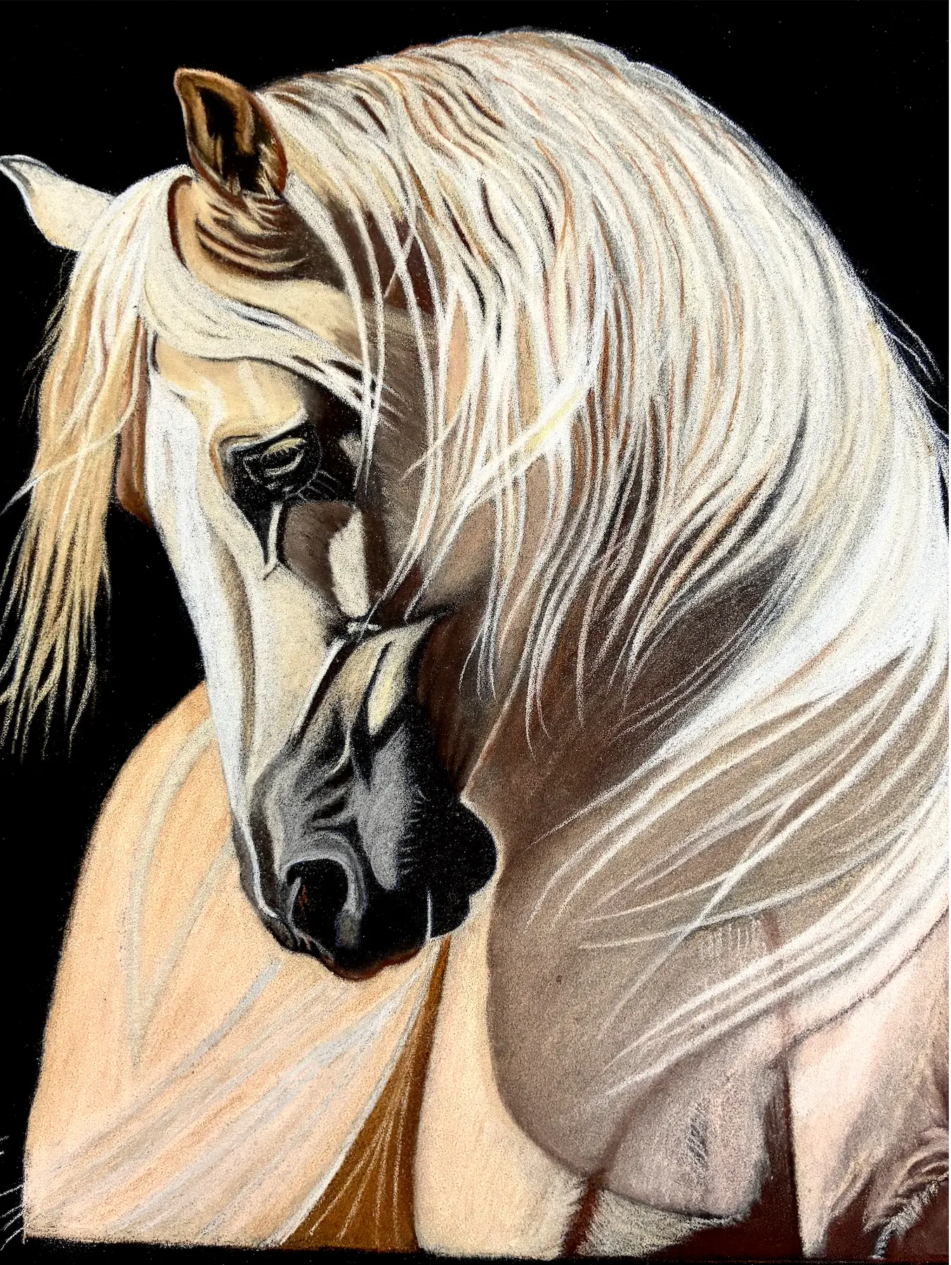 Palomino Bow, drawing by Fulton Allem