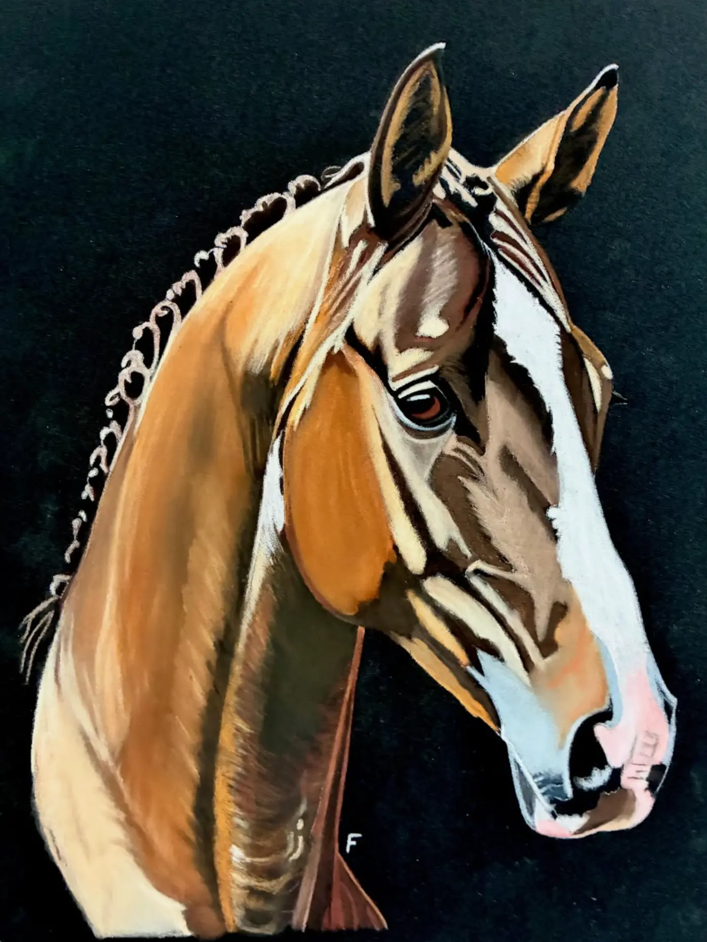 Plaits on Black, drawing by Fulton Allem