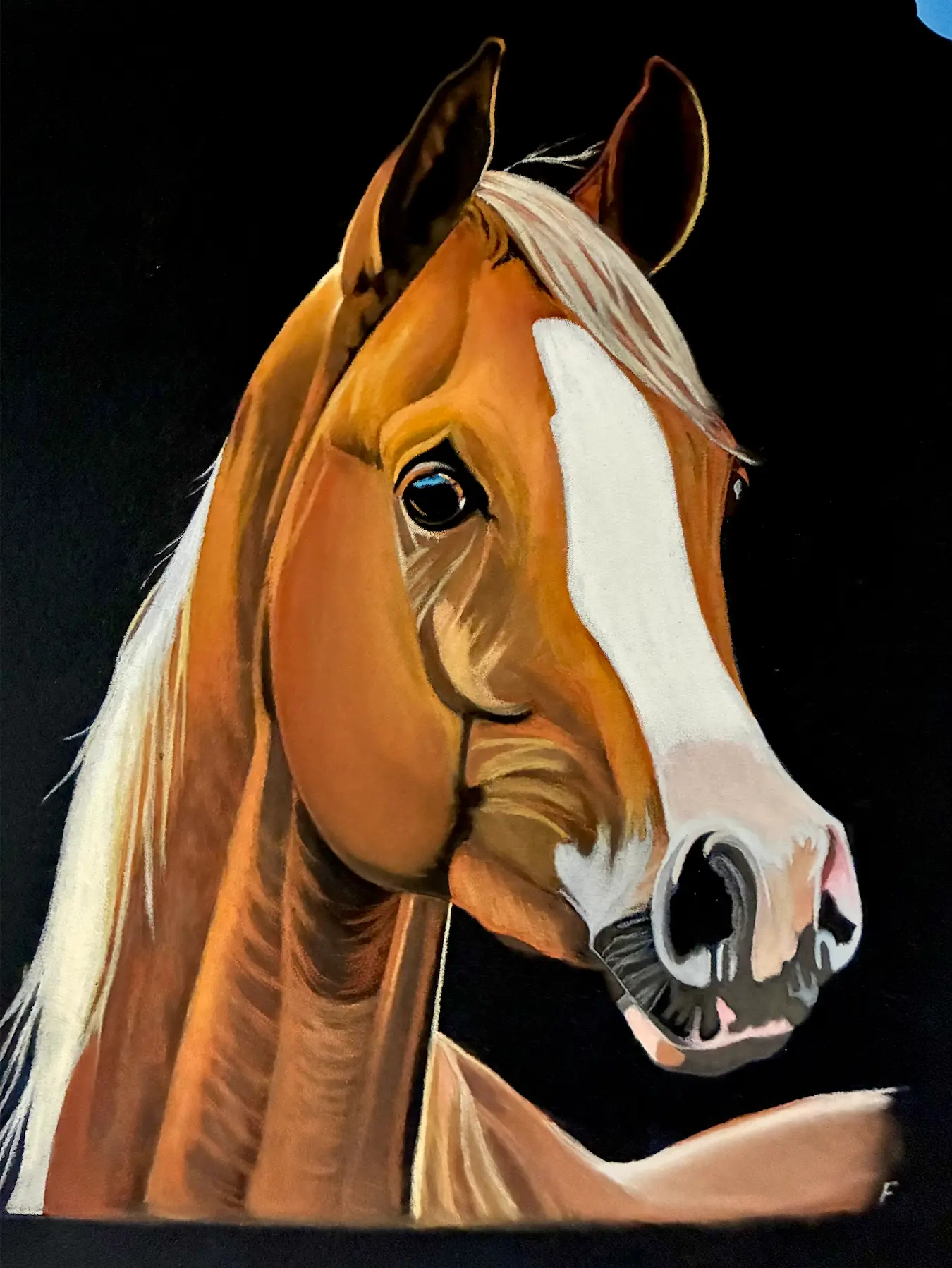 Flaxen Blaze, drawing by Fulton Allem