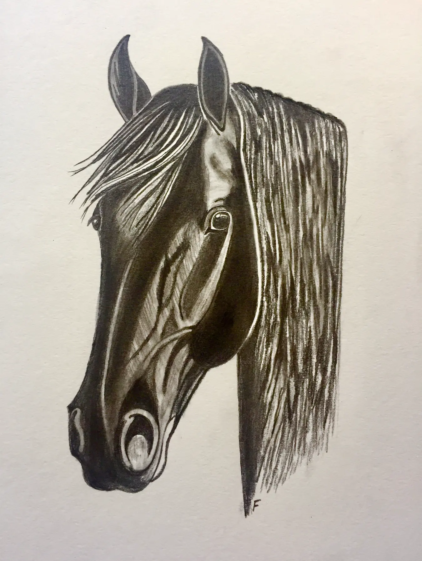 Graphite Black, drawing by Fulton Allem