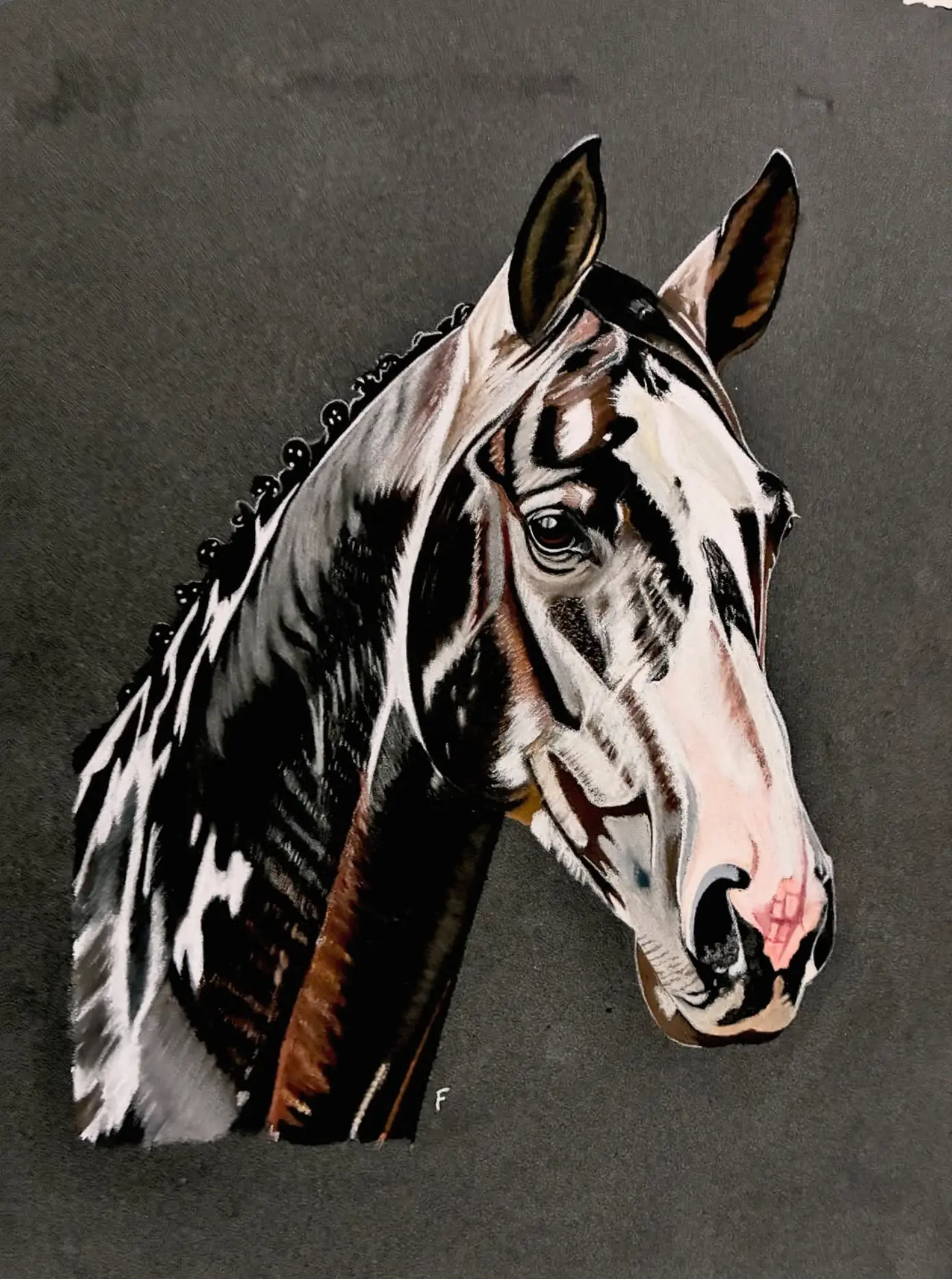 Piebald Plaits, drawing by Fulton Allem