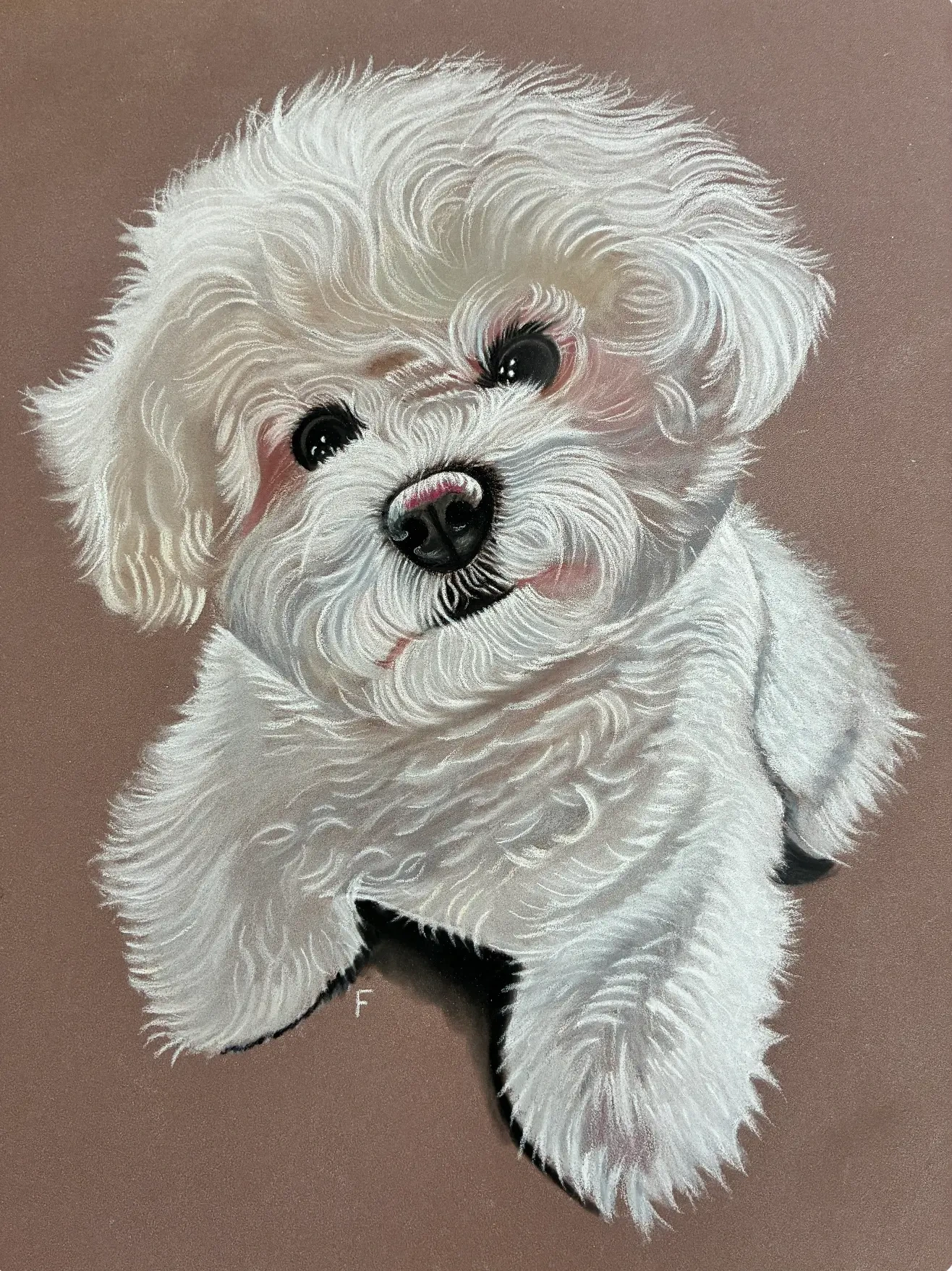 White Curls, drawing by Fulton Allem
