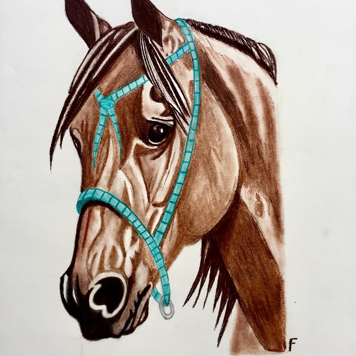 Turquoise Halter, drawing by Fulton Allem