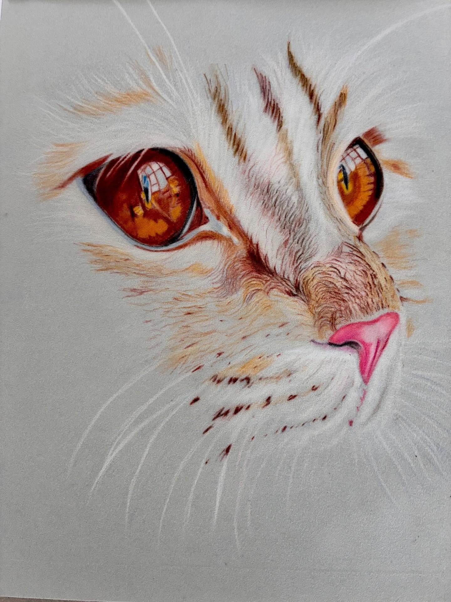 Copper Eye, drawing by Fulton Allem