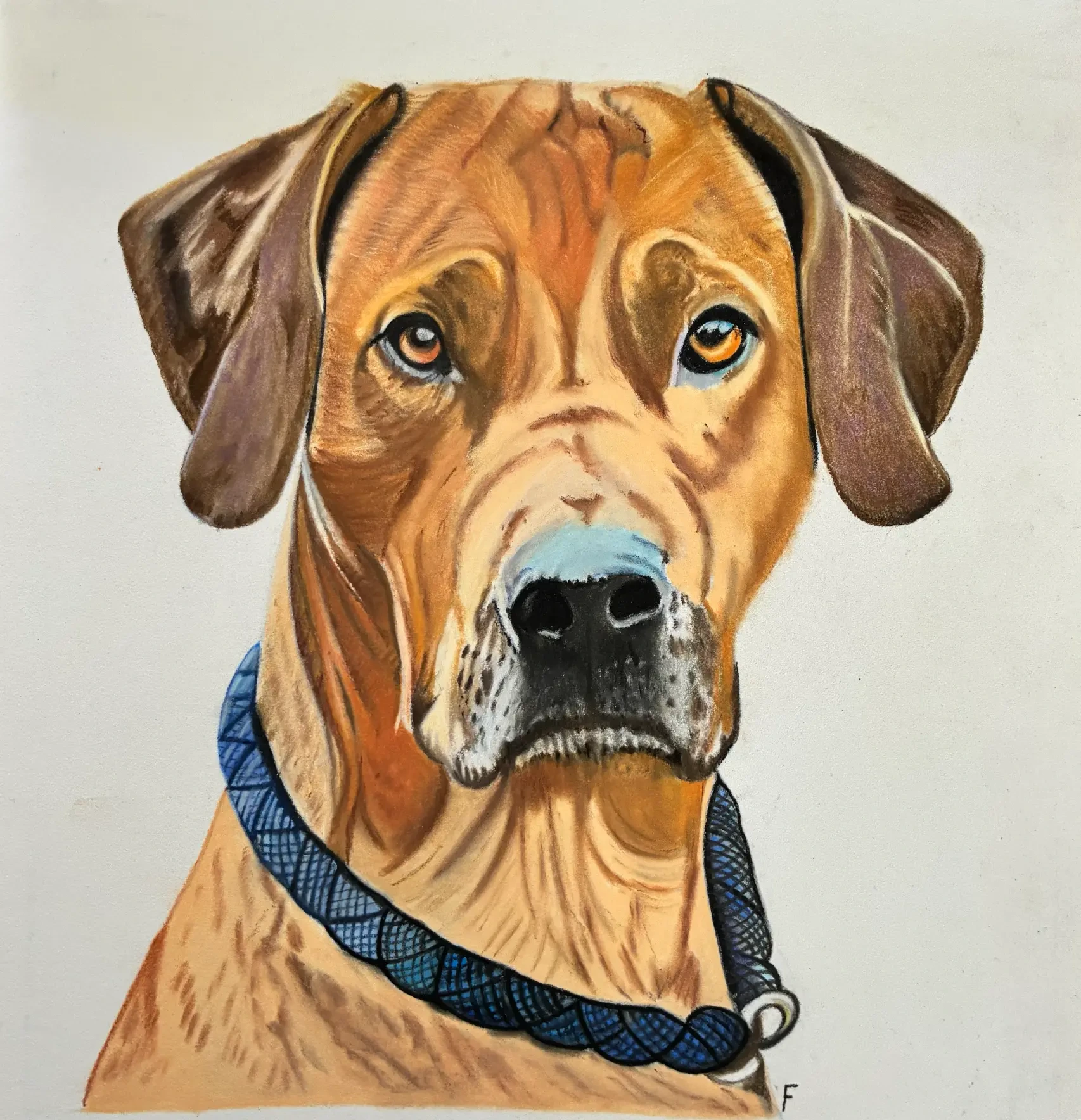 Braided Leash, drawing by Fulton Allem