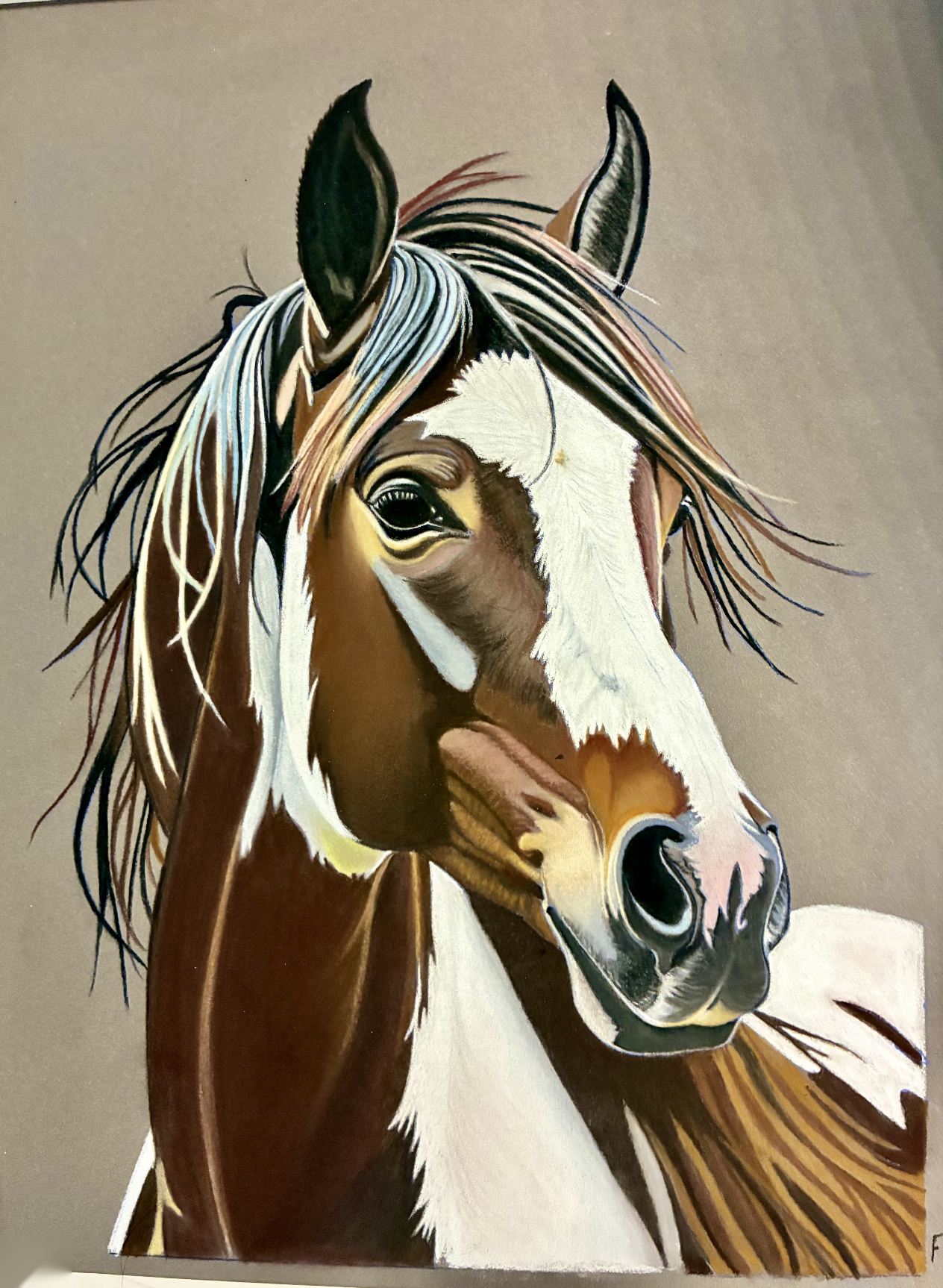 Chestnut Pinto, drawing by Fulton Allem