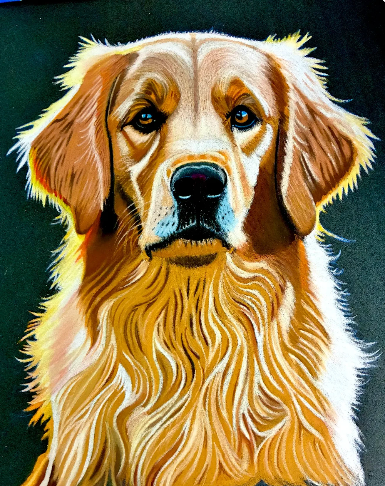 Golden Feathering, drawing by Fulton Allem