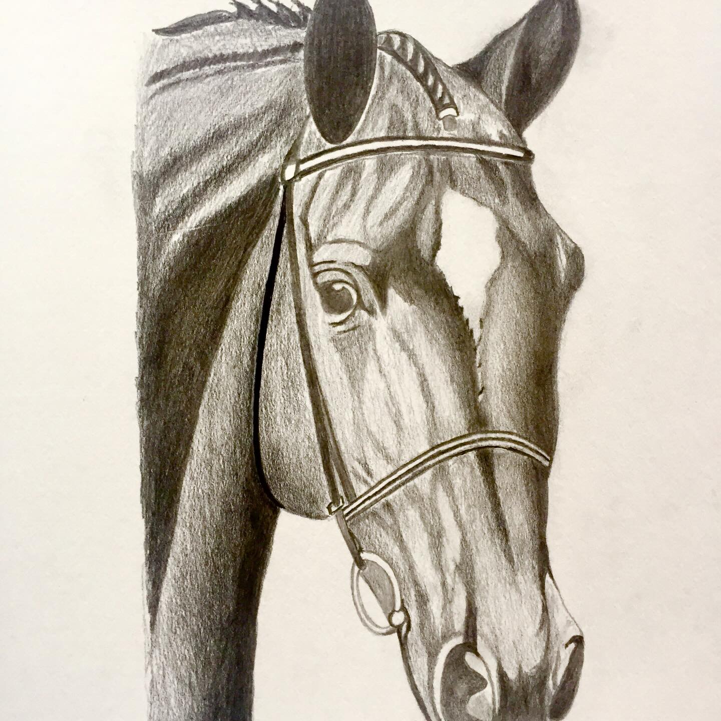 Show Plaits, drawing by Fulton Allem