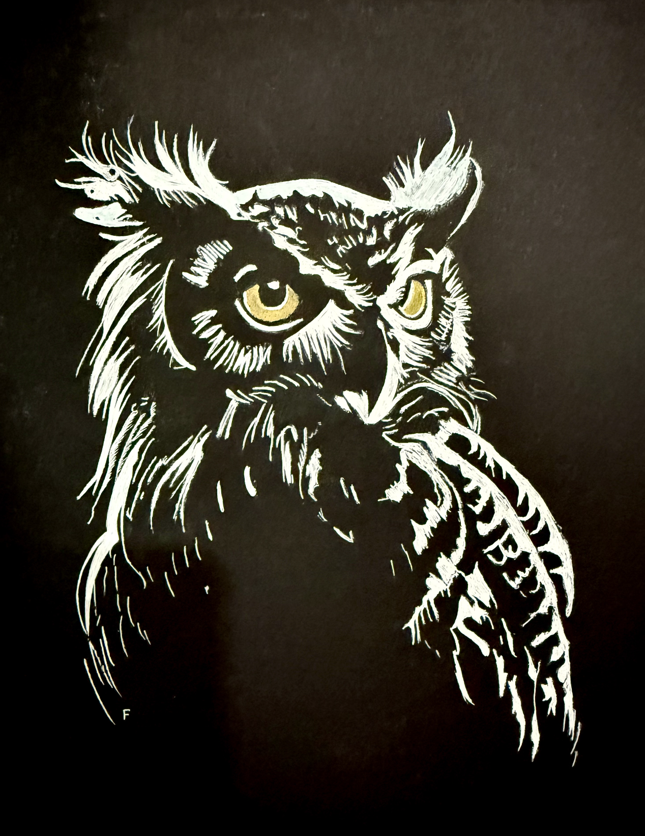 Owl in White, drawing by Fulton Allem