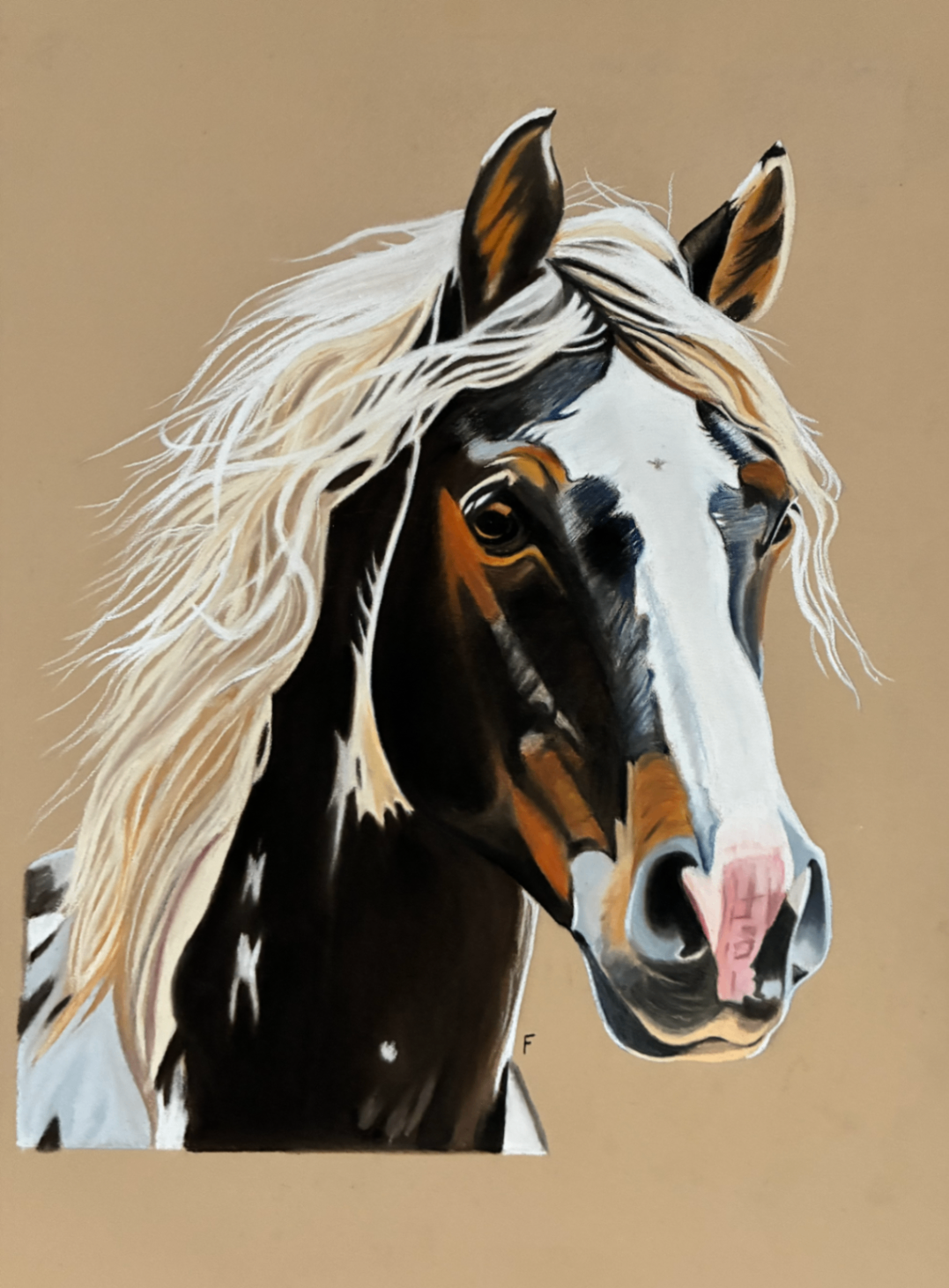 Whiteface, drawing by Fulton Allem