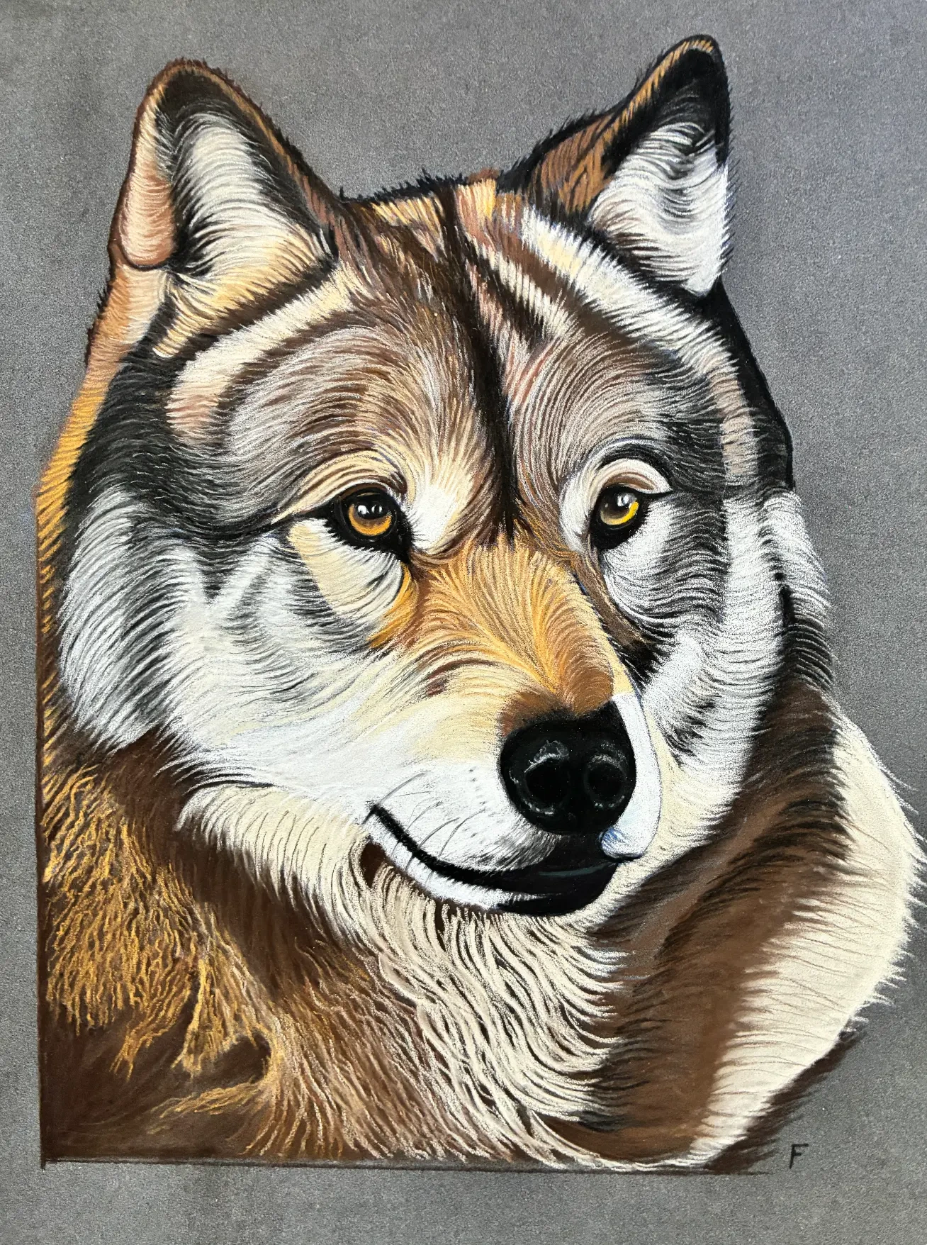 Grey Wolf, drawing by Fulton Allem
