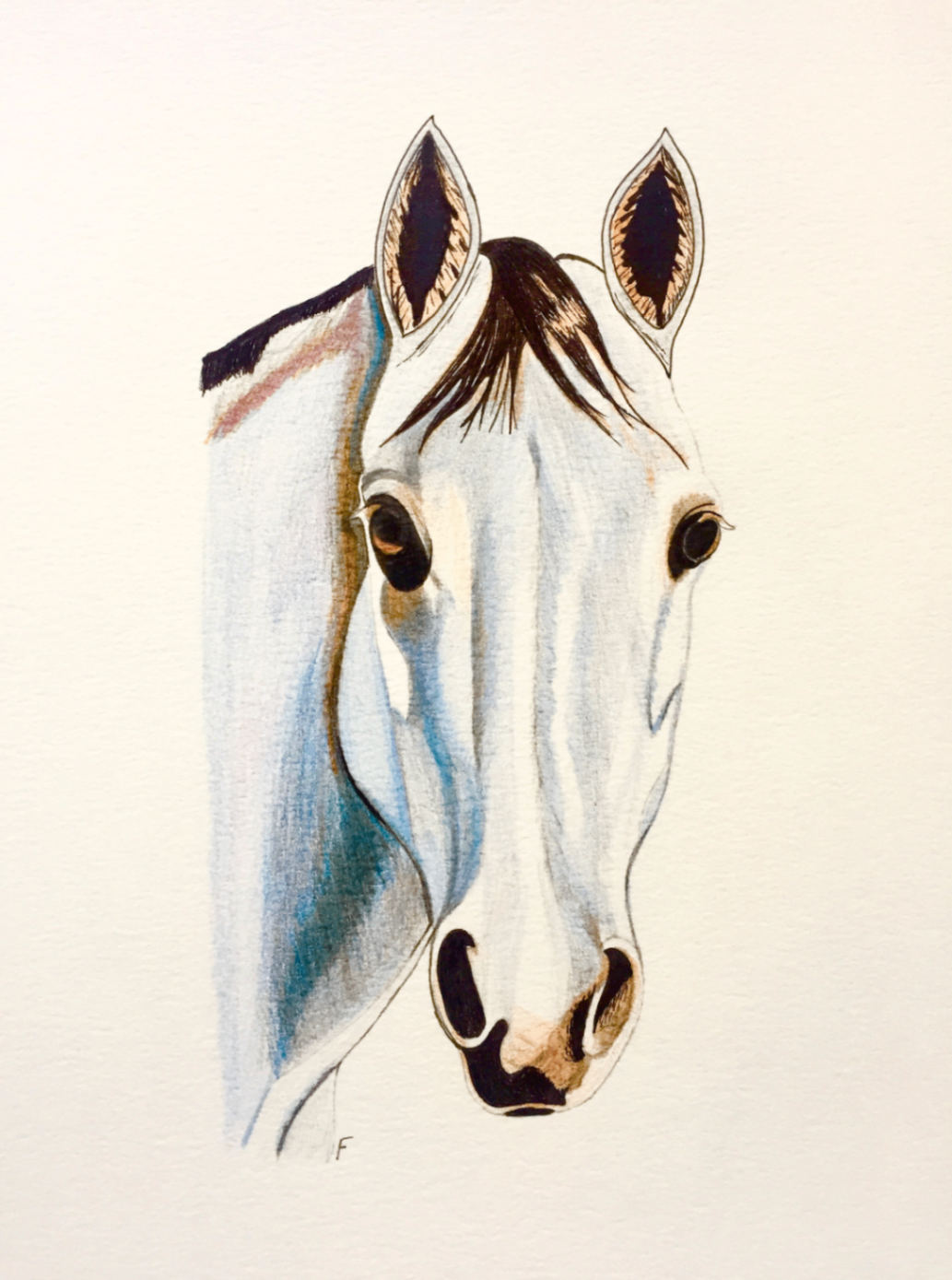 Pricked Ears, drawing by Fulton Allem