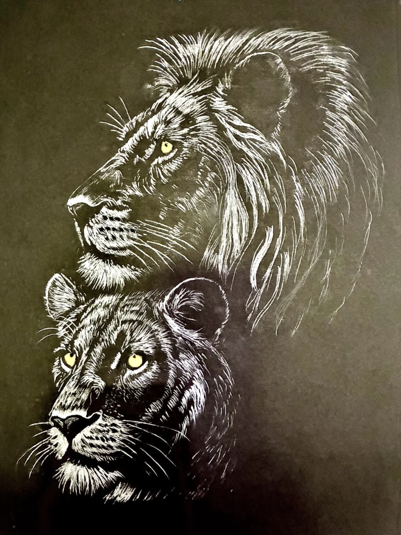 Lion and Lioness, drawing by Fulton Allem