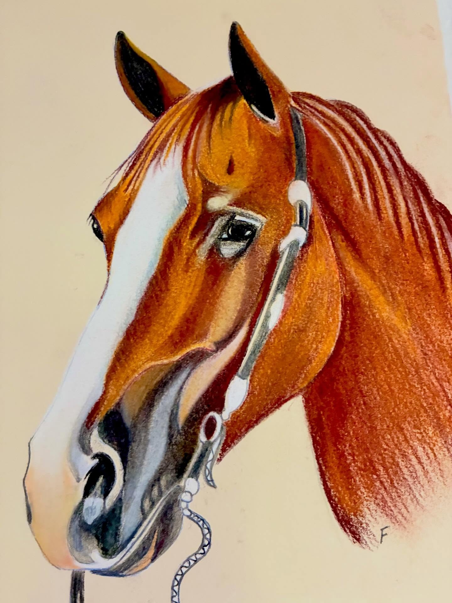 Chestnut in the Bridle, drawing by Fulton Allem
