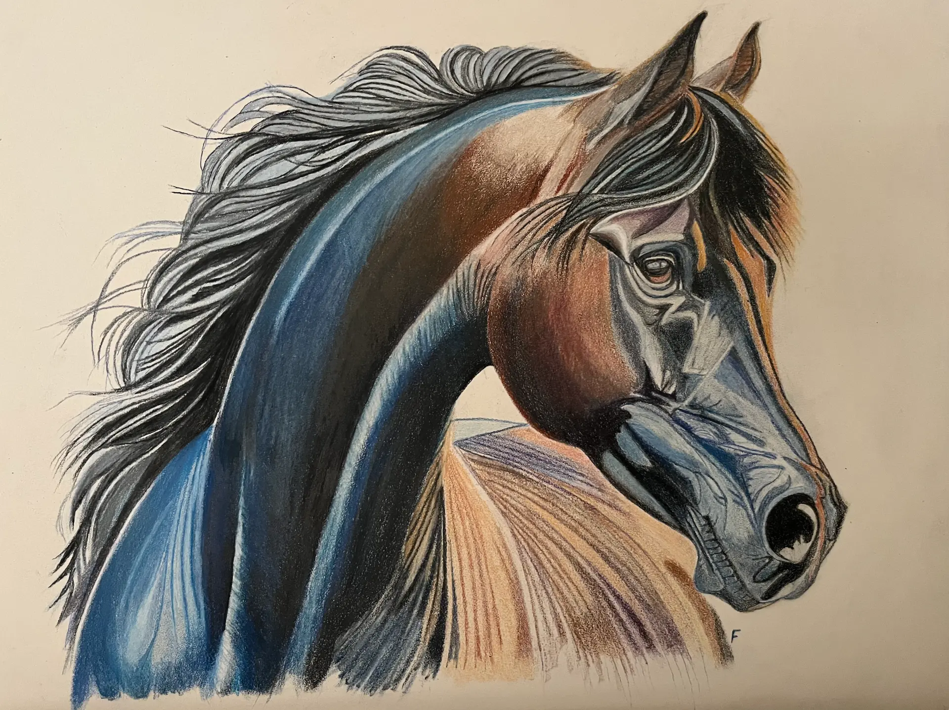 Blue Crest, drawing by Fulton Allem