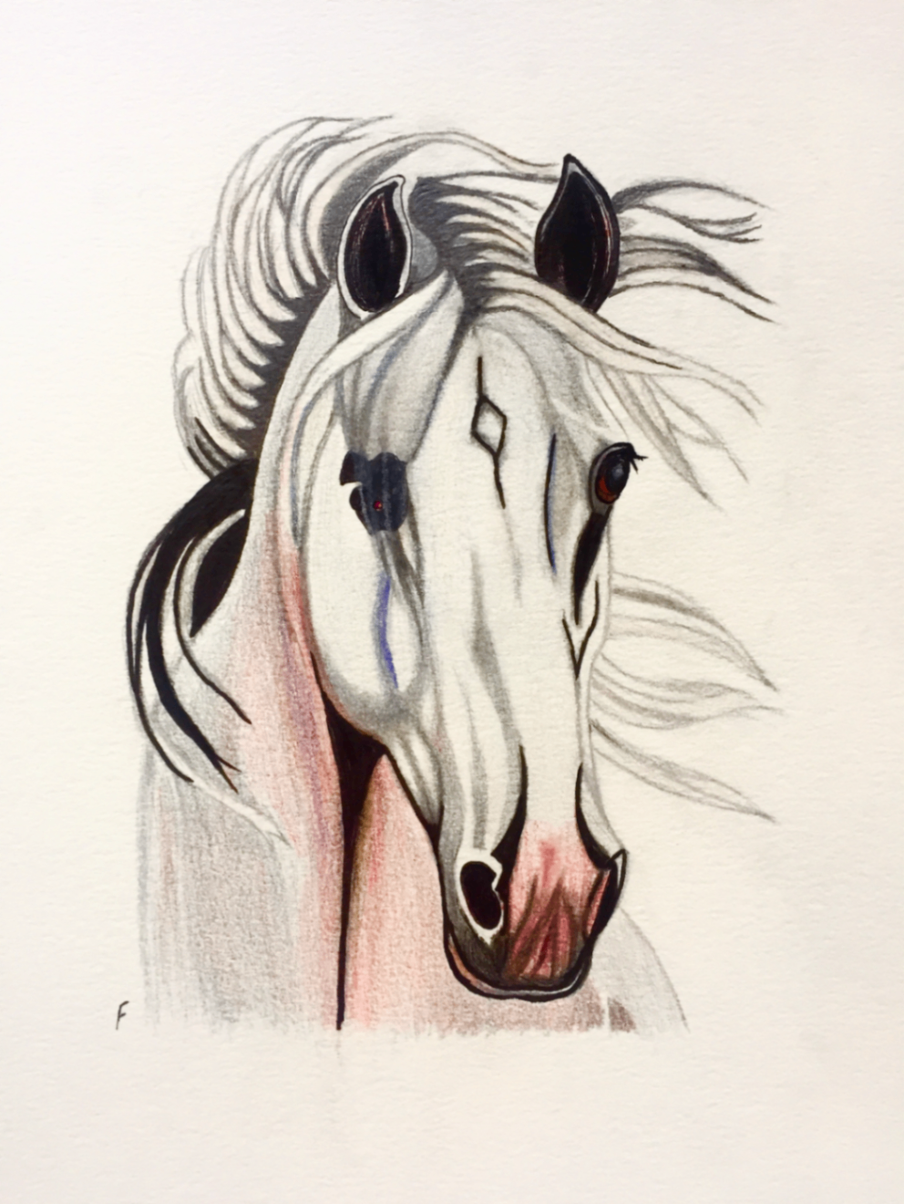 Pink Muzzle, drawing by Fulton Allem
