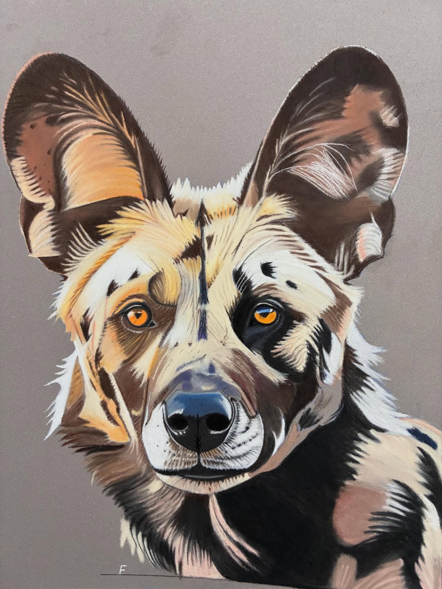 Painted Dog, drawing by Fulton Allem