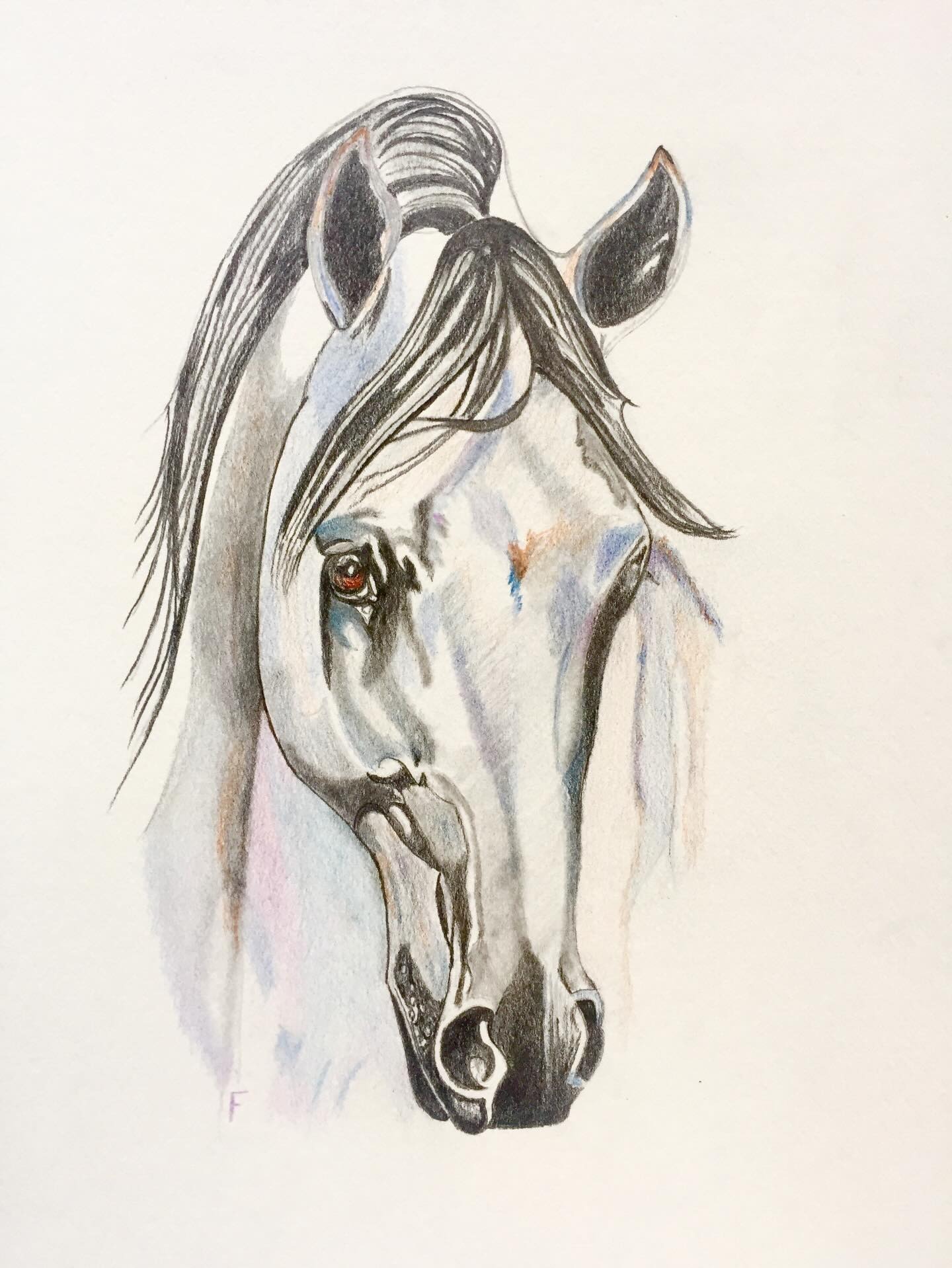 Soft Grey, drawing by Fulton Allem