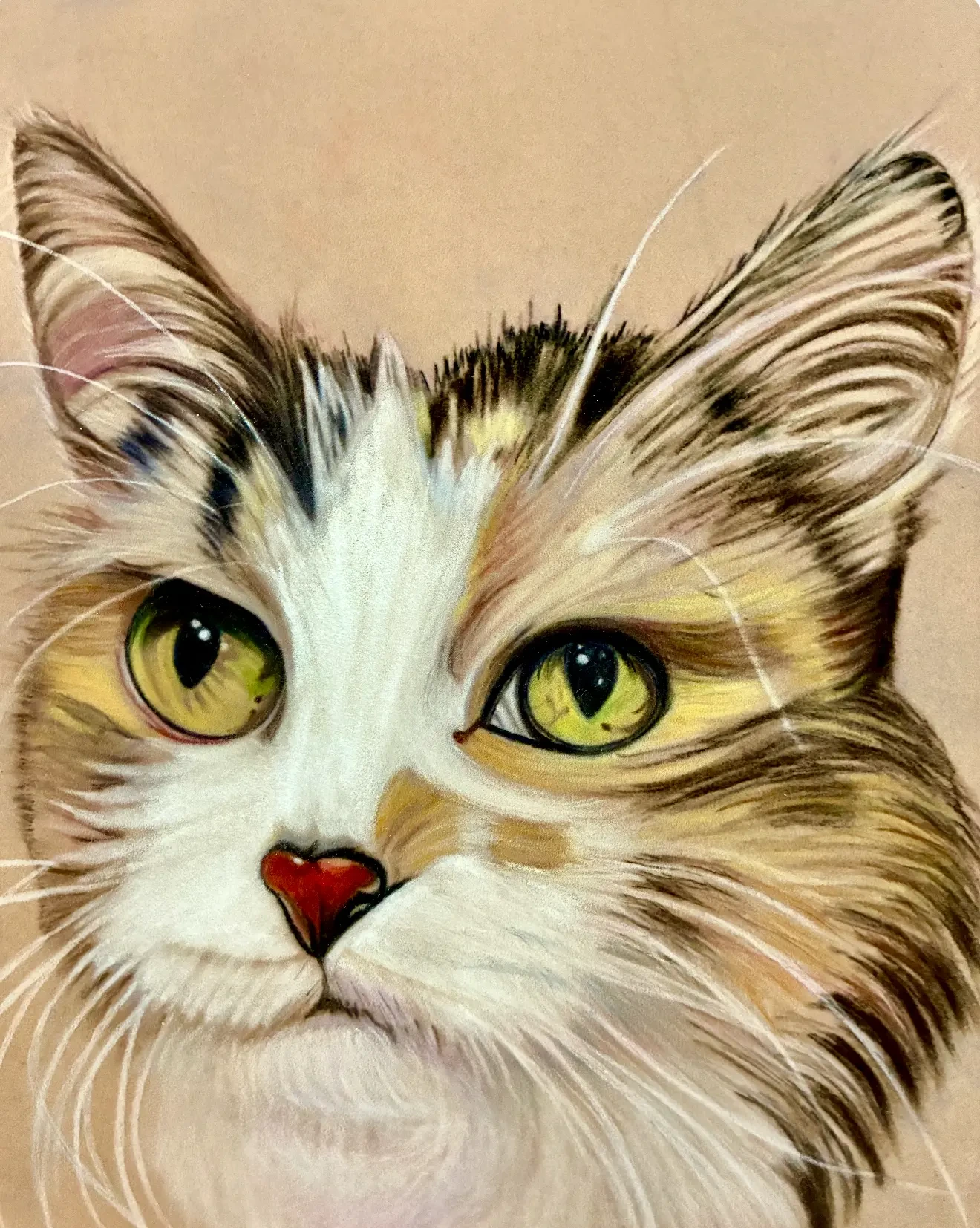 Calico, drawing by Fulton Allem