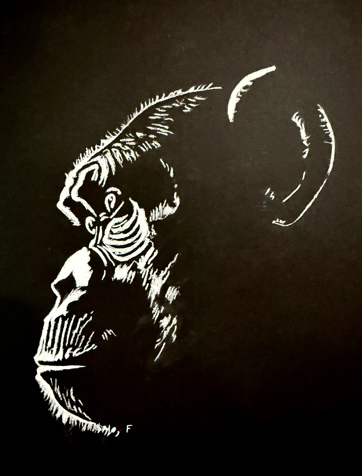 Profile in White, drawing by Fulton Allem