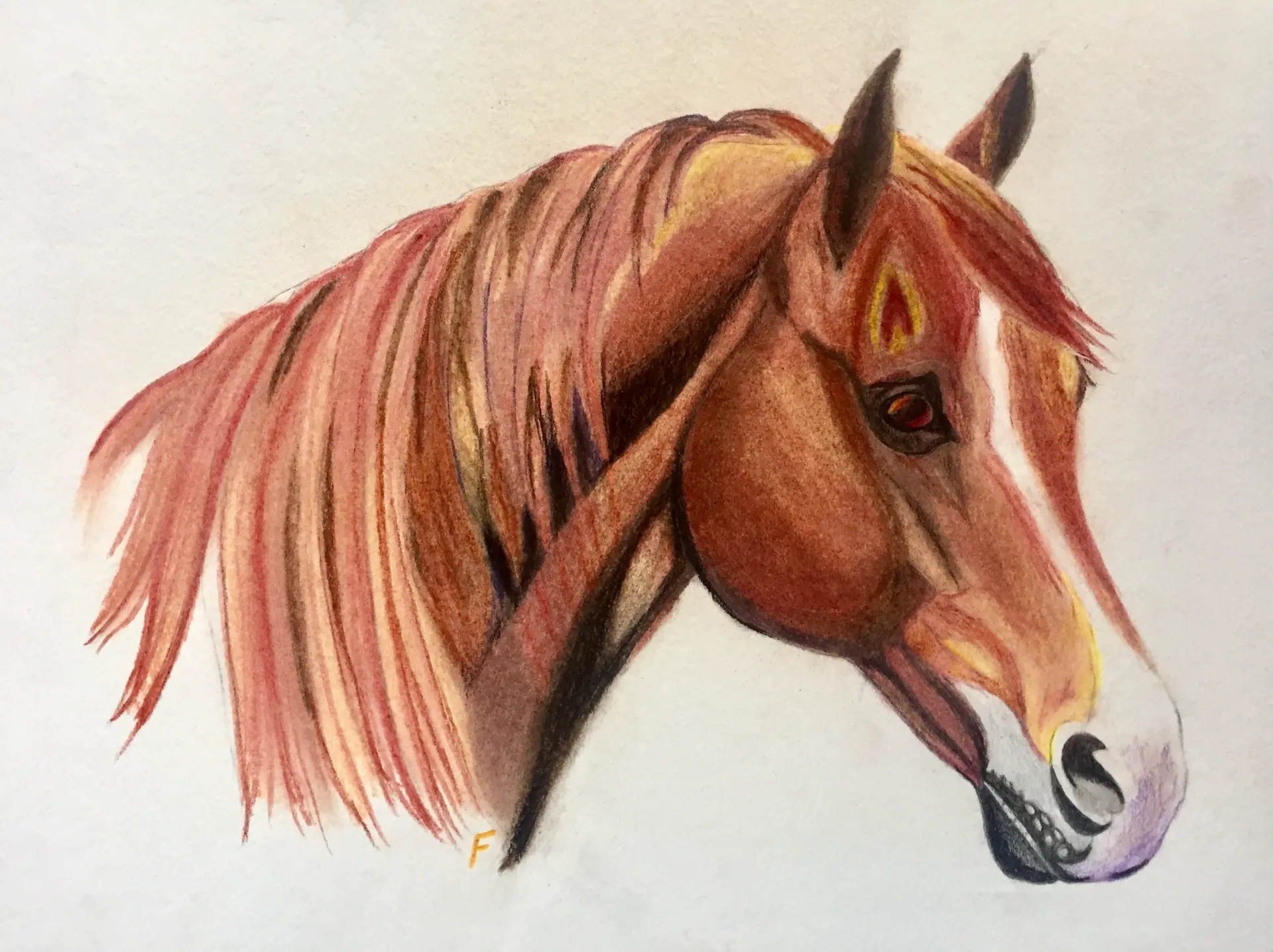 Heart Star, drawing by Fulton Allem