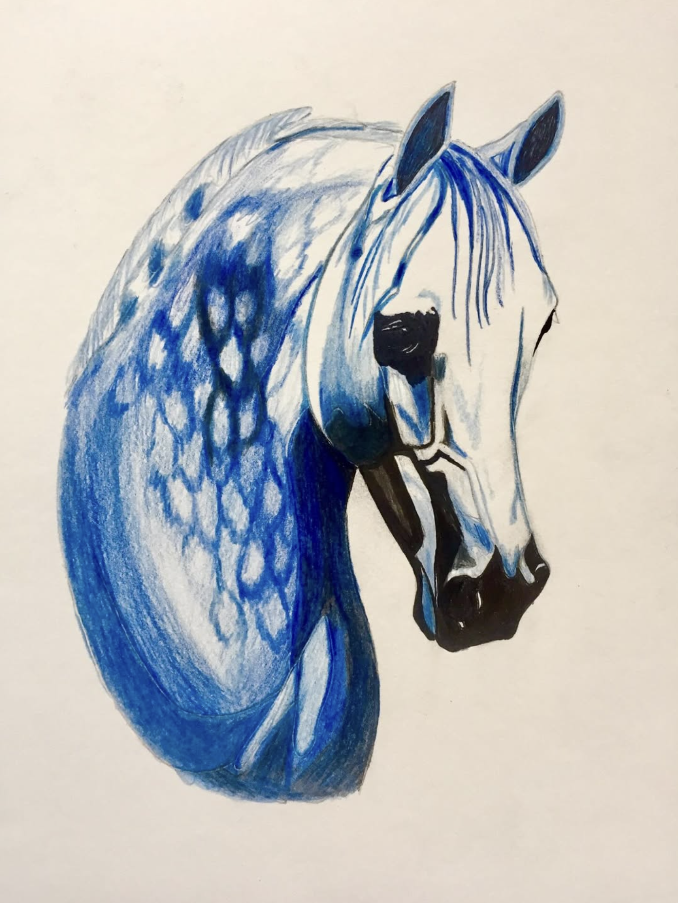 Blue Dapple, drawing by Fulton Allem