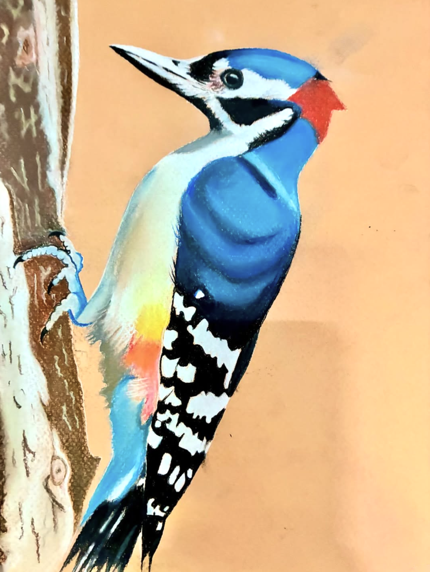 Red Nape, drawing by Fulton Allem