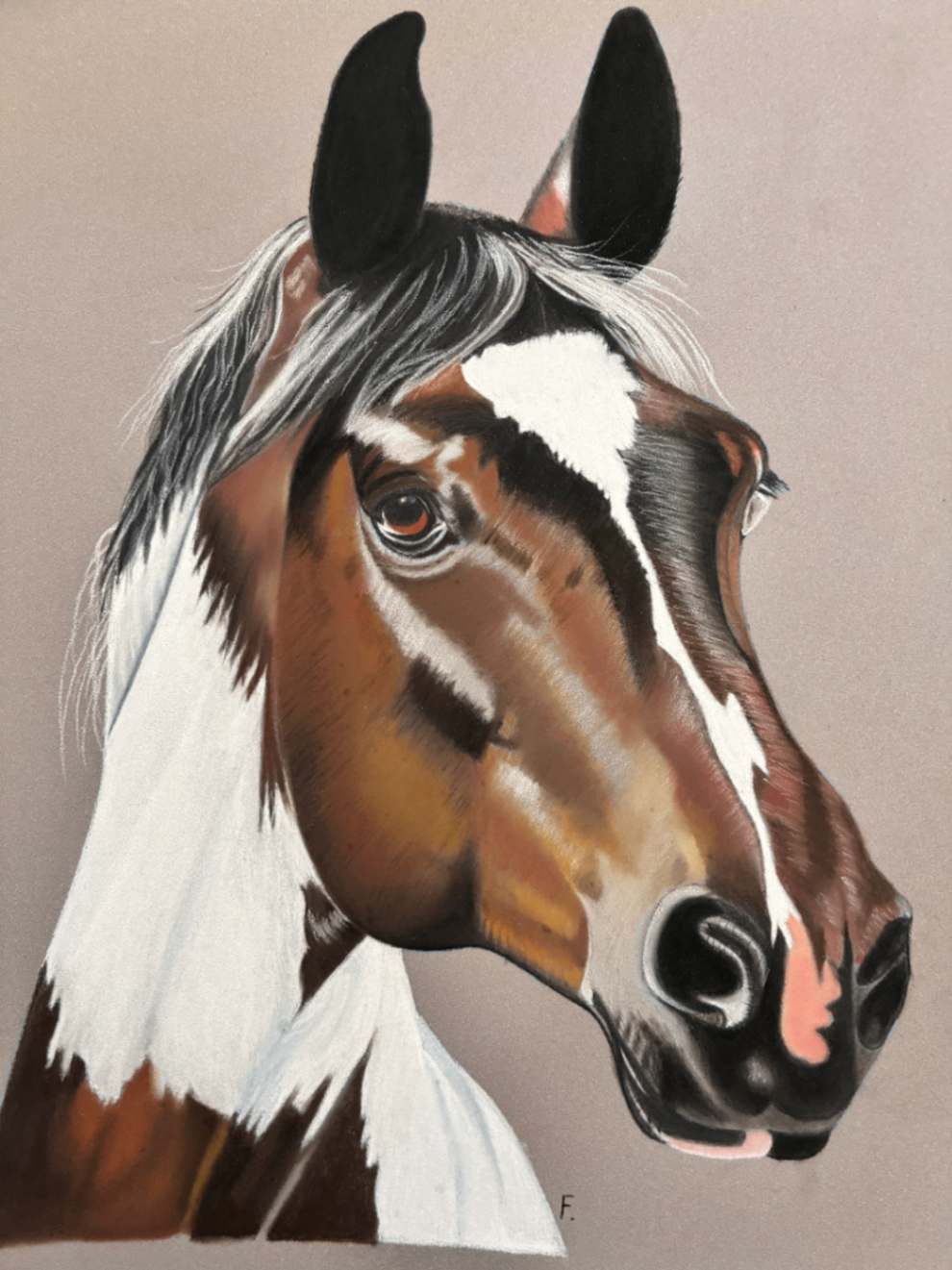 Patch and Blaze, drawing by Fulton Allem
