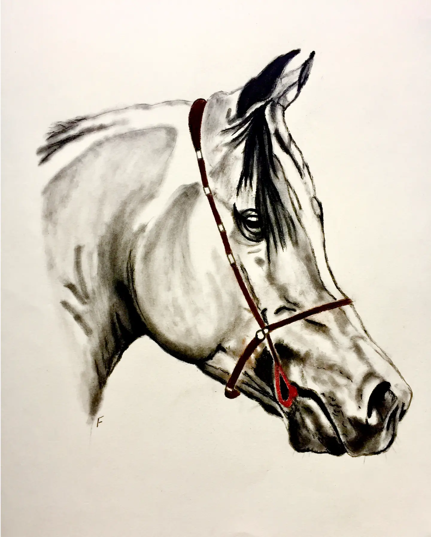 Red Halter, drawing by Fulton Allem