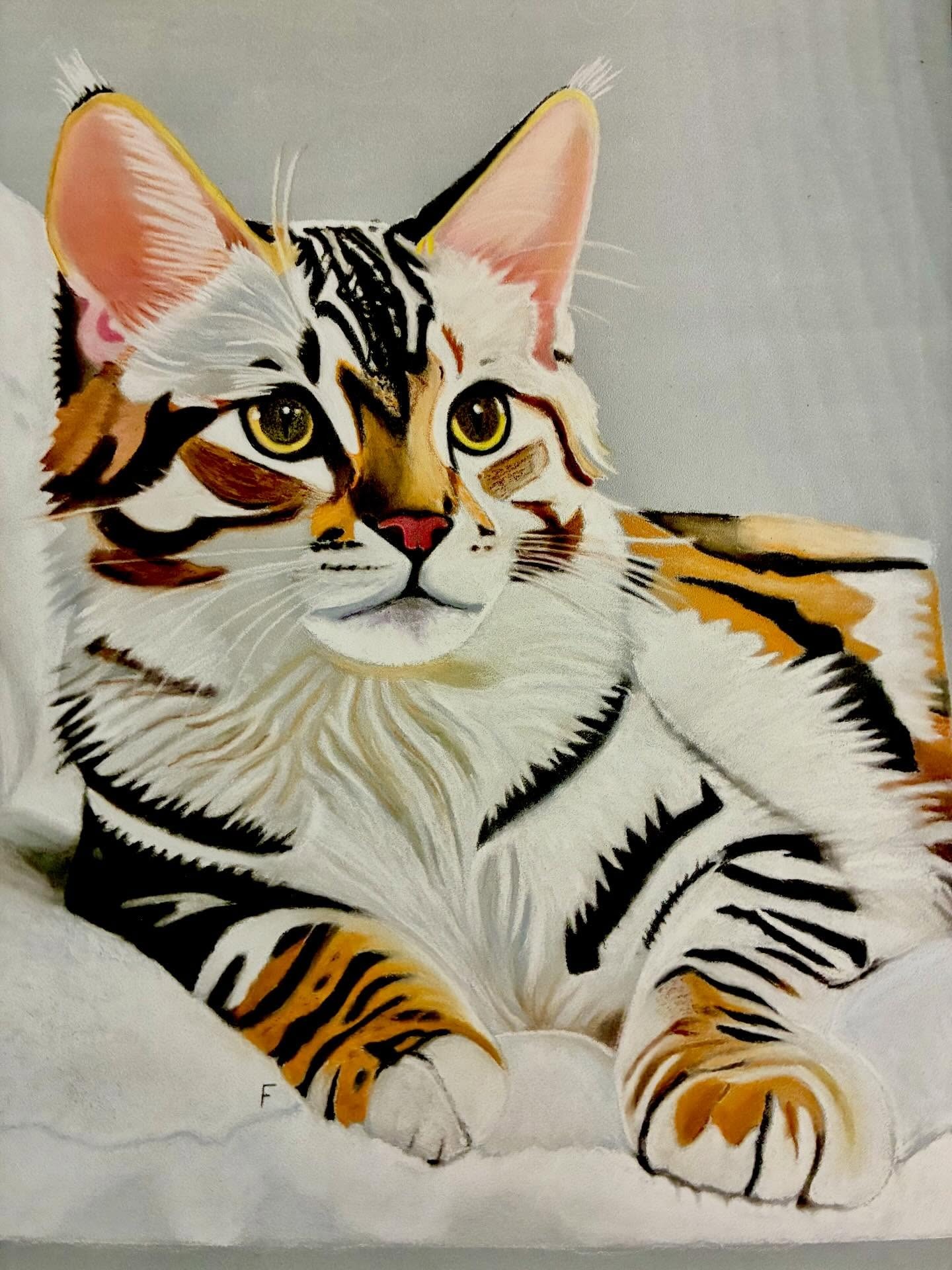 Tabby at Rest, drawing by Fulton Allem