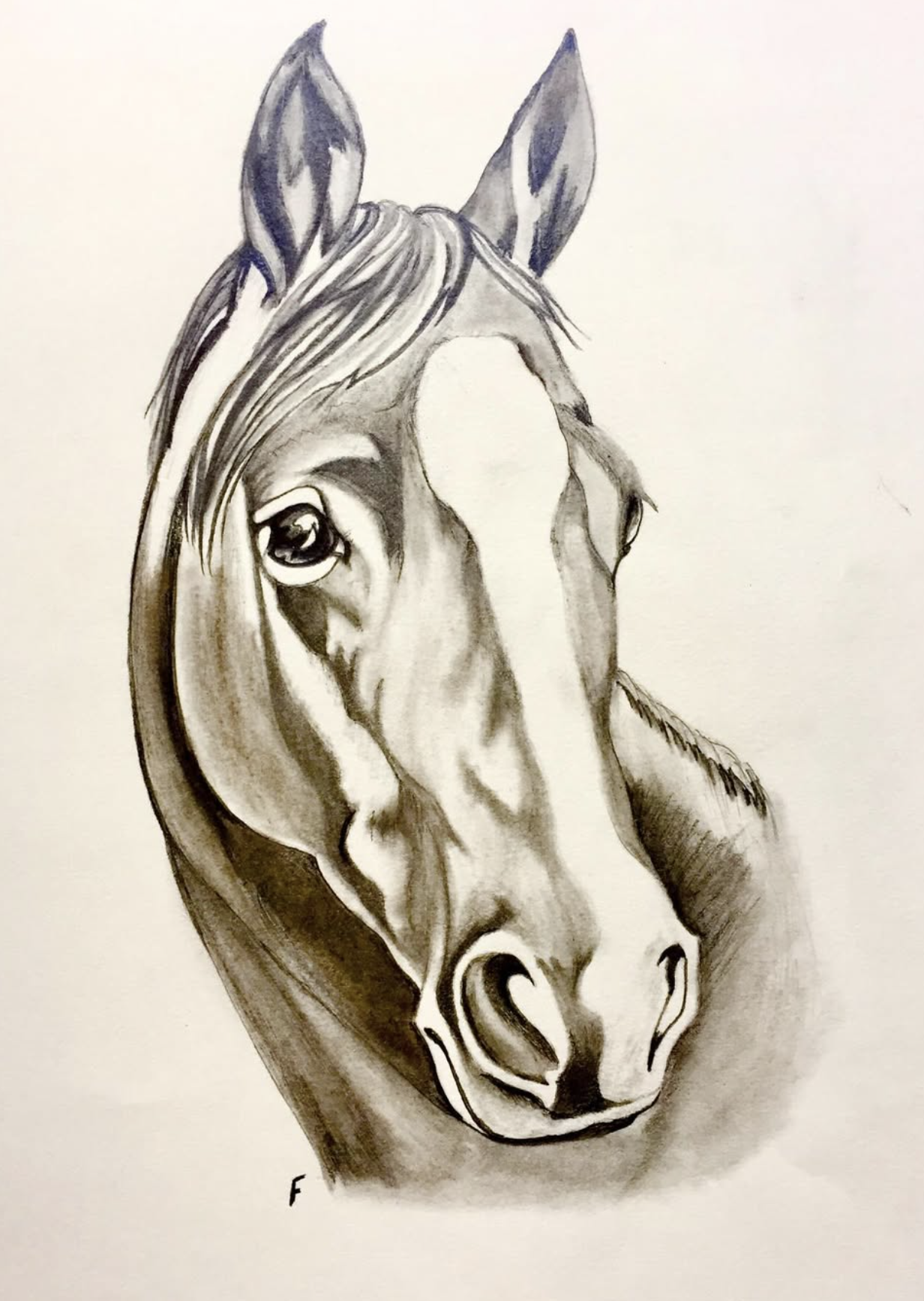 Ink Wash, drawing by Fulton Allem