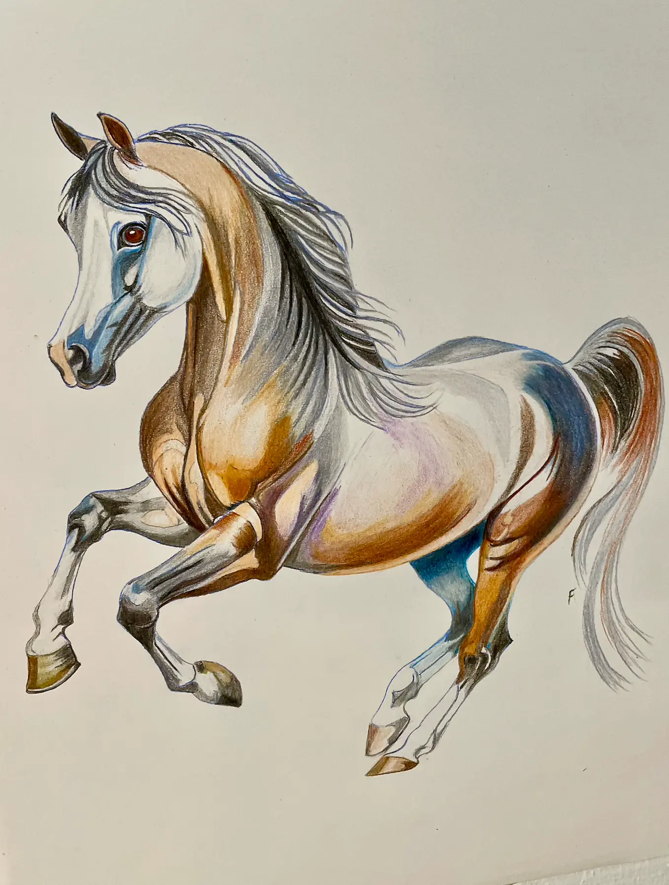 Canter, drawing by Fulton Allem