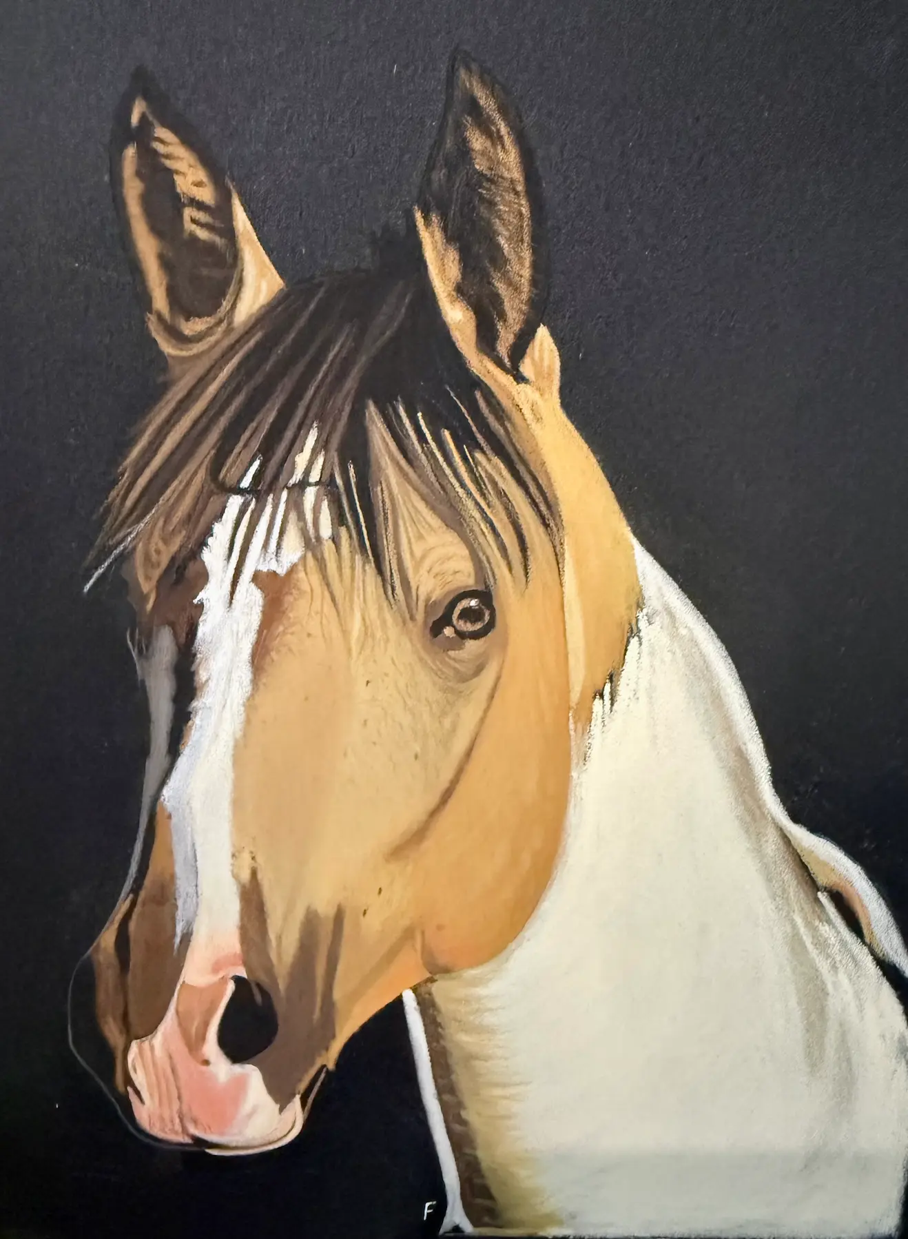 Buckskin Forelock, drawing by Fulton Allem