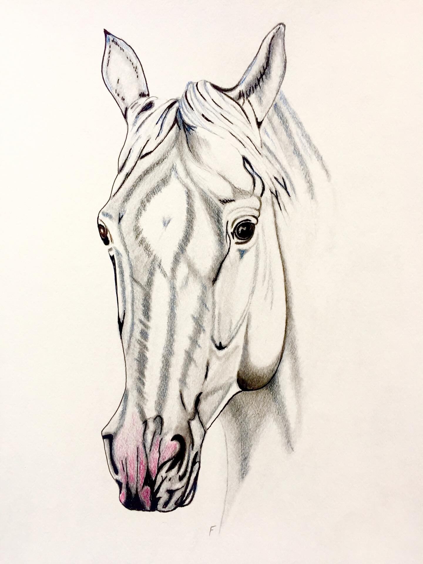 Pale Grey, drawing by Fulton Allem