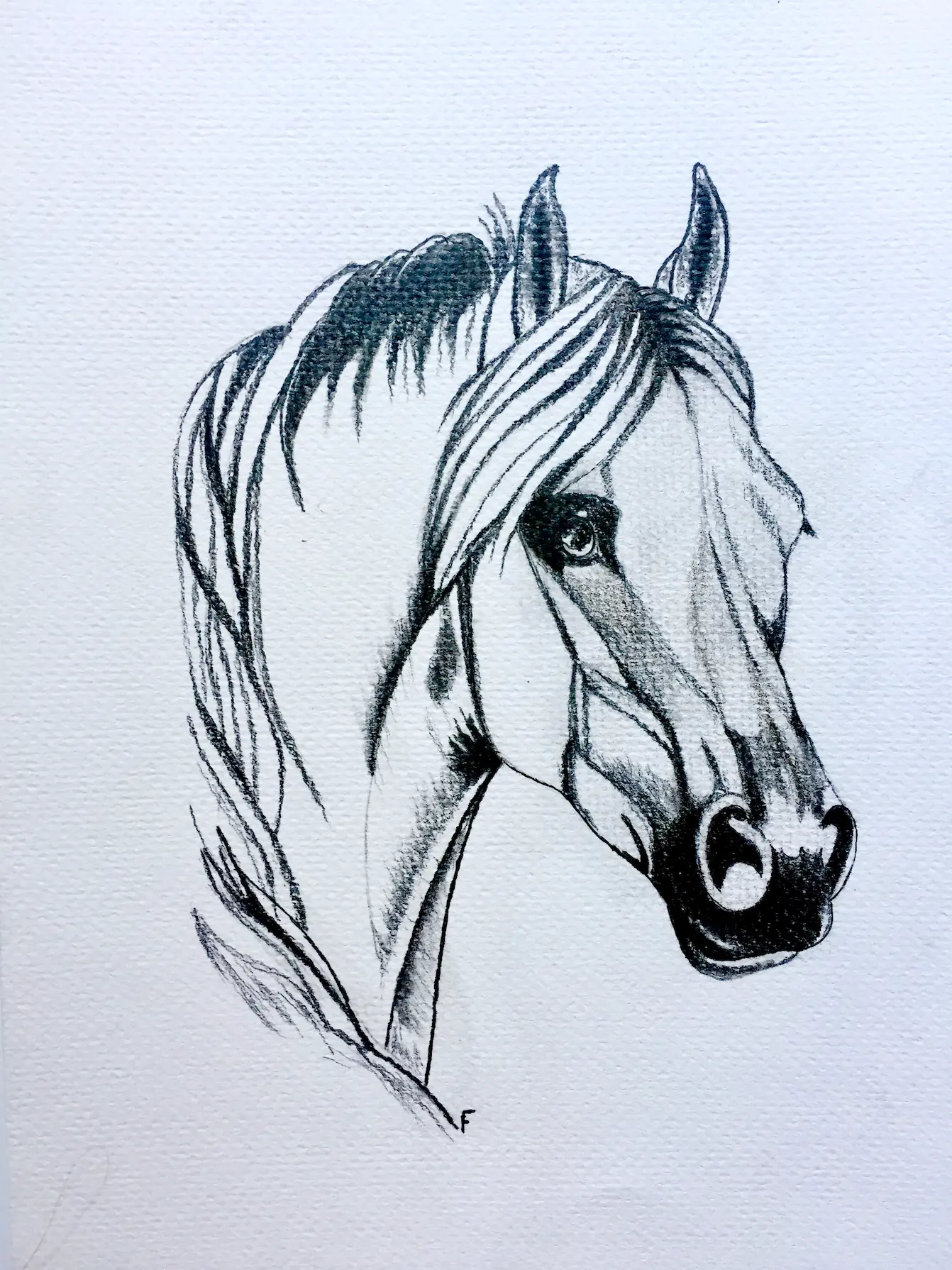 Pencil Sketch, drawing by Fulton Allem